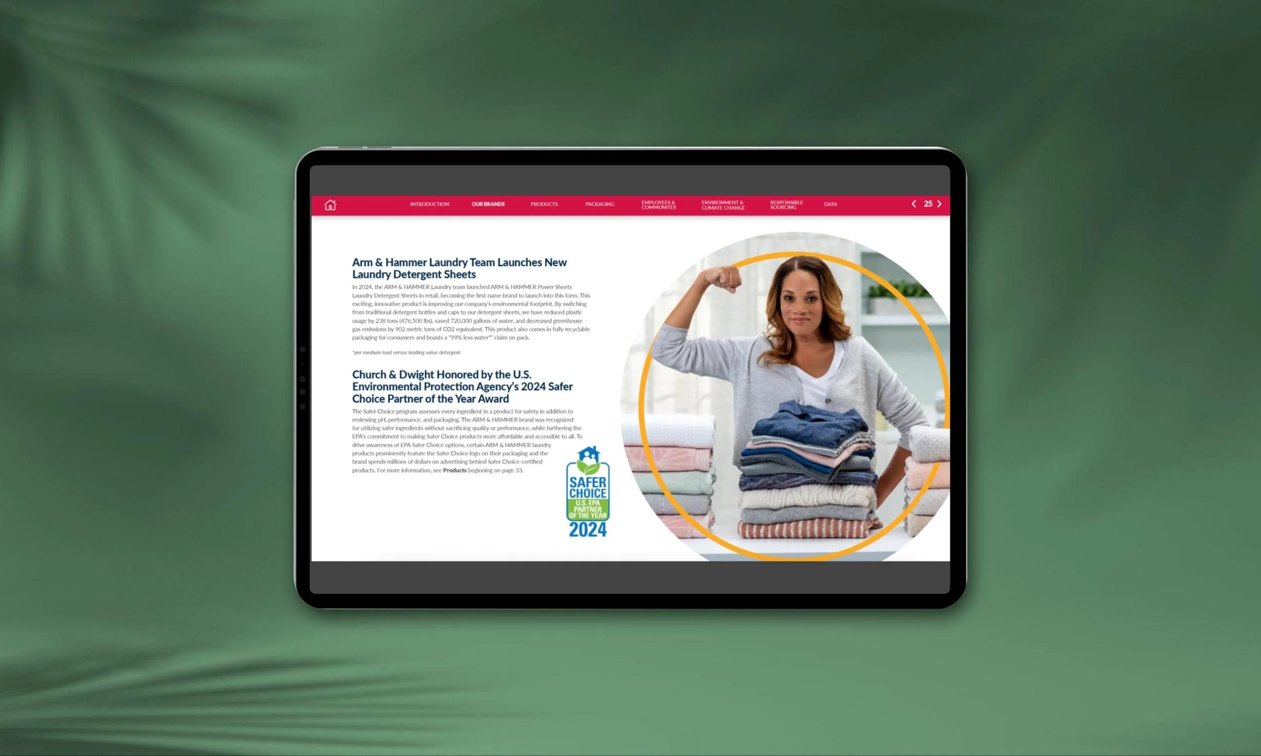 Church & Dwight Sustainability — Renee Rizza