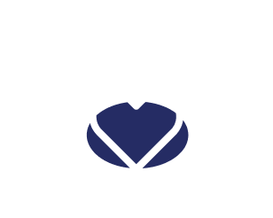A stylized drawing of a brain with a heart at the center, outlined in white with a blue fill on the heart.