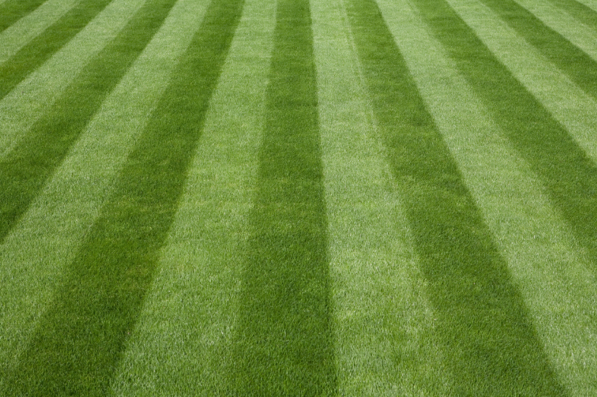 Close-up view of a well-maintained grass field with alternating light and dark green stripes.