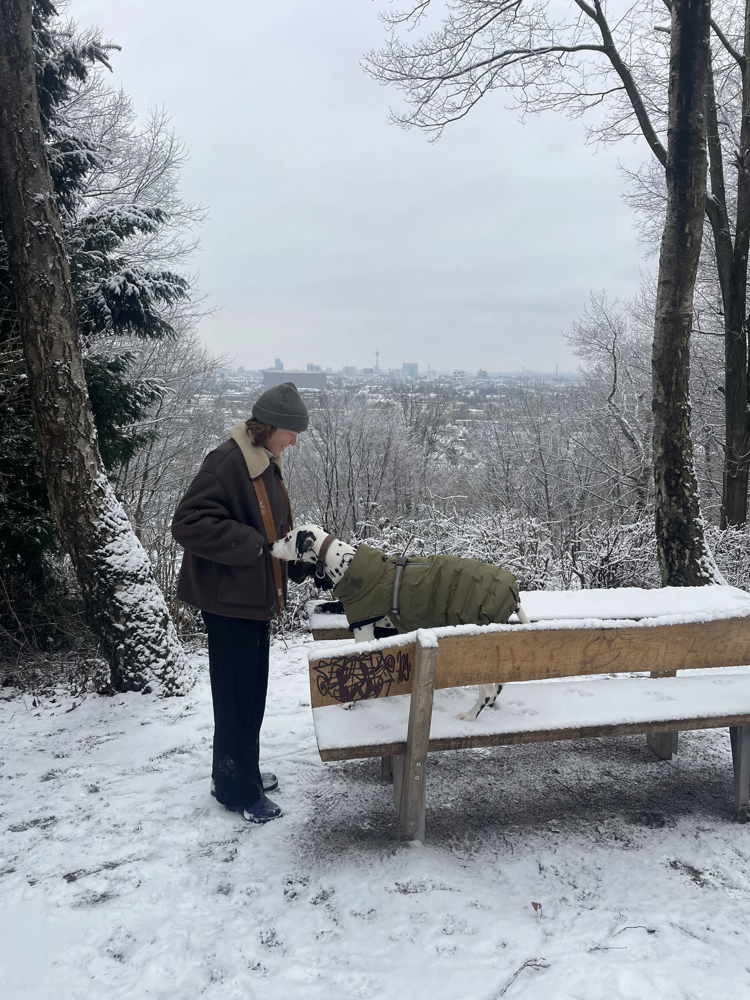 Ein Mann mit grauem Hut und brauner Jacke füttert einen Dalmatiner-Hund mit einem grauen Mantel an einem winterlichen Park mit verschneiten Bäumen und Sicht auf eine Stadt im Hintergrund.