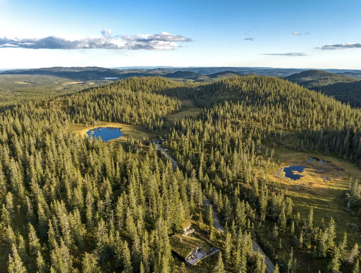 wngetbilde (5) 2.jpeg