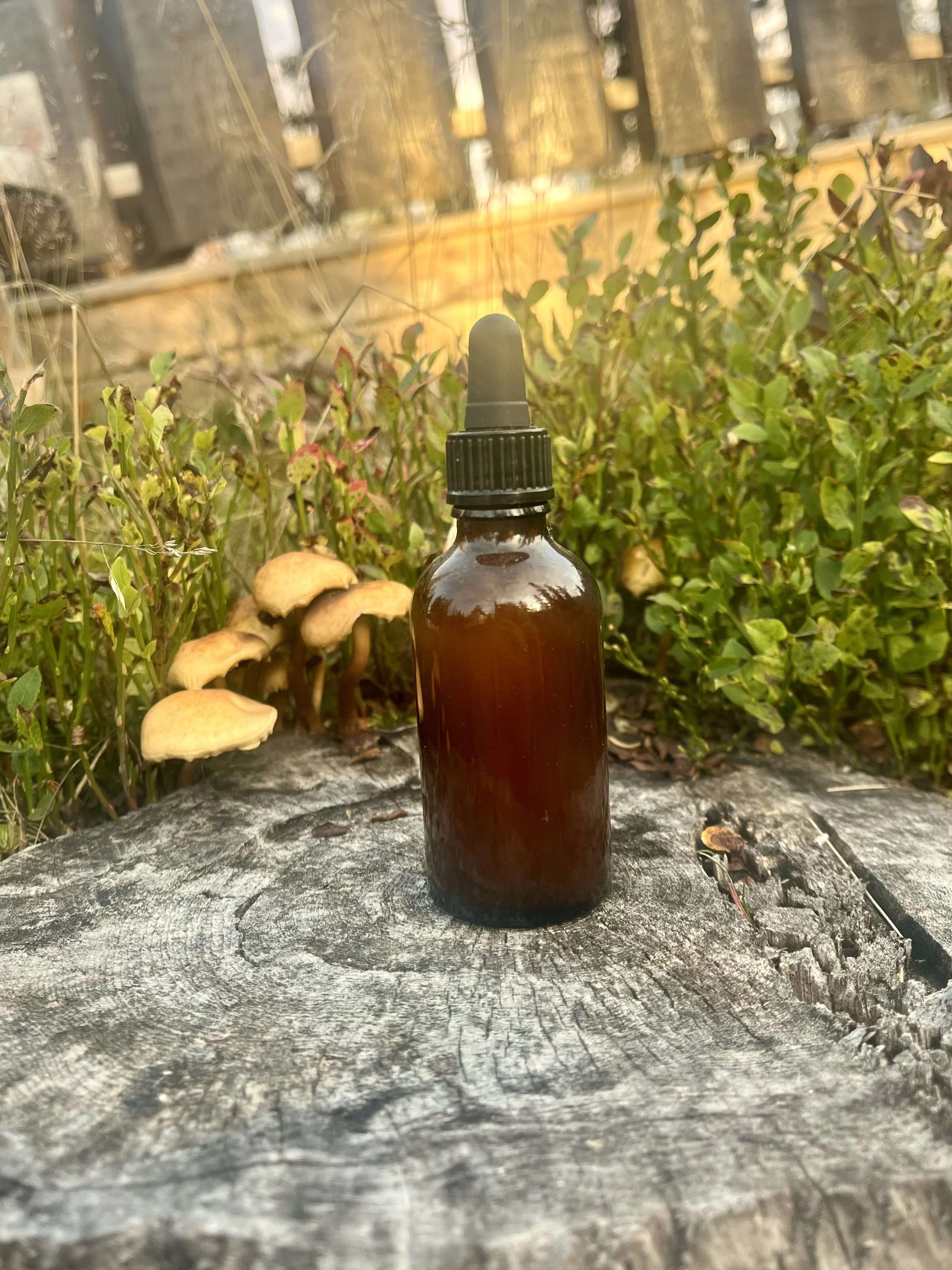 Usneatinktur - 100 ml