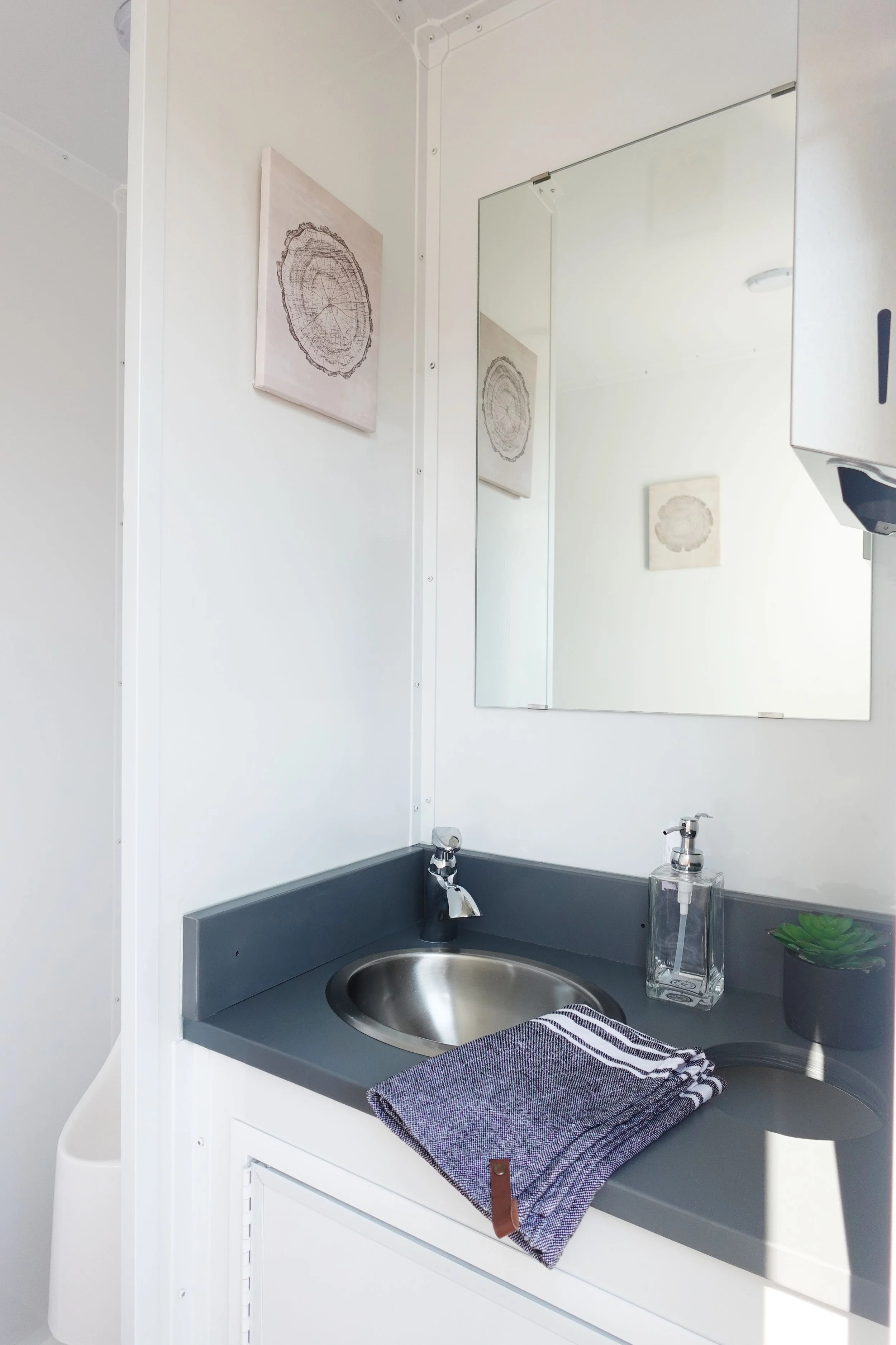 Small bathroom sink area with a mirror, a framed canvas art of a tree ring, soap dispenser, small plant, and a folded towel.