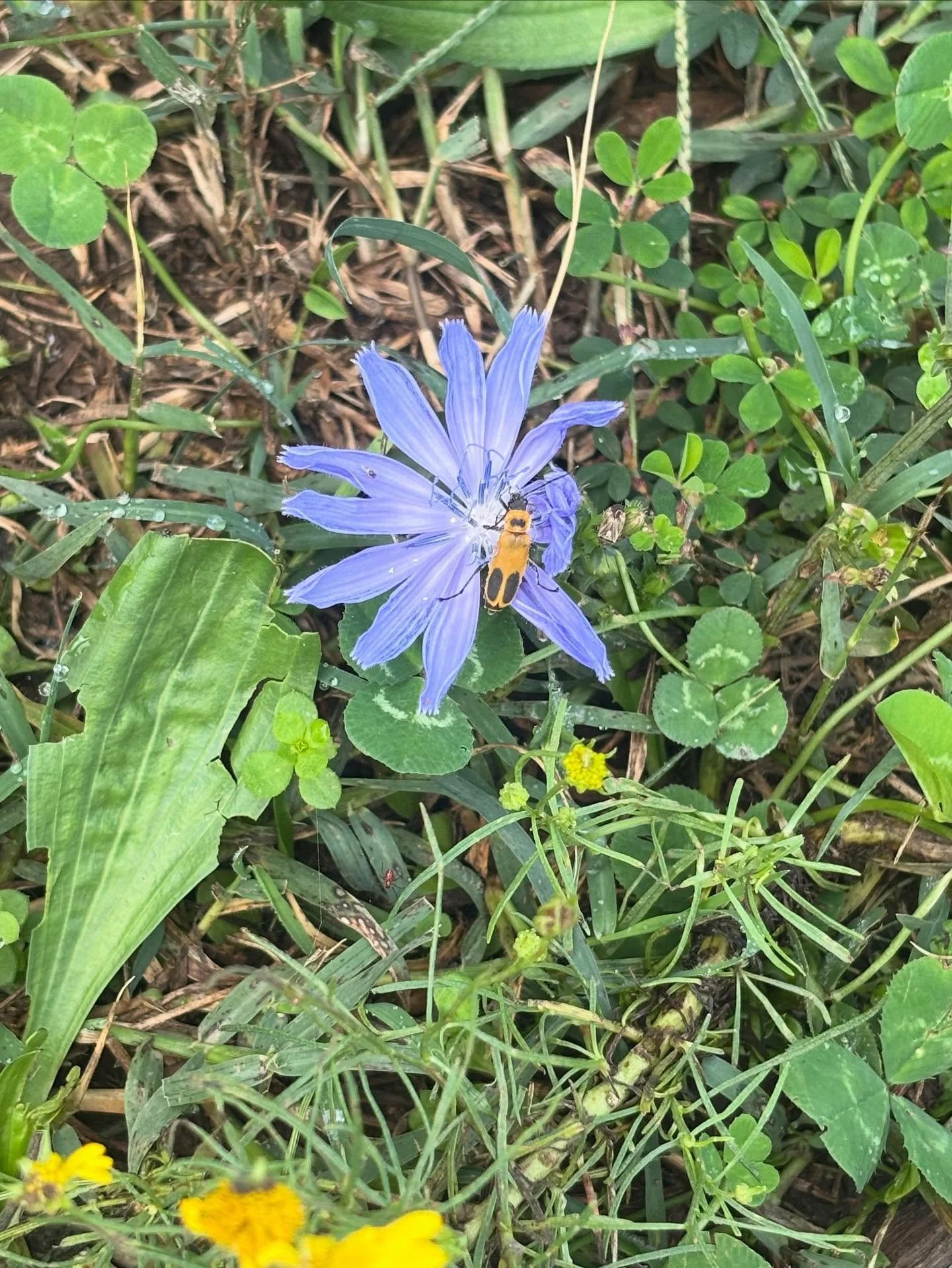 Just another beautiful thing today!