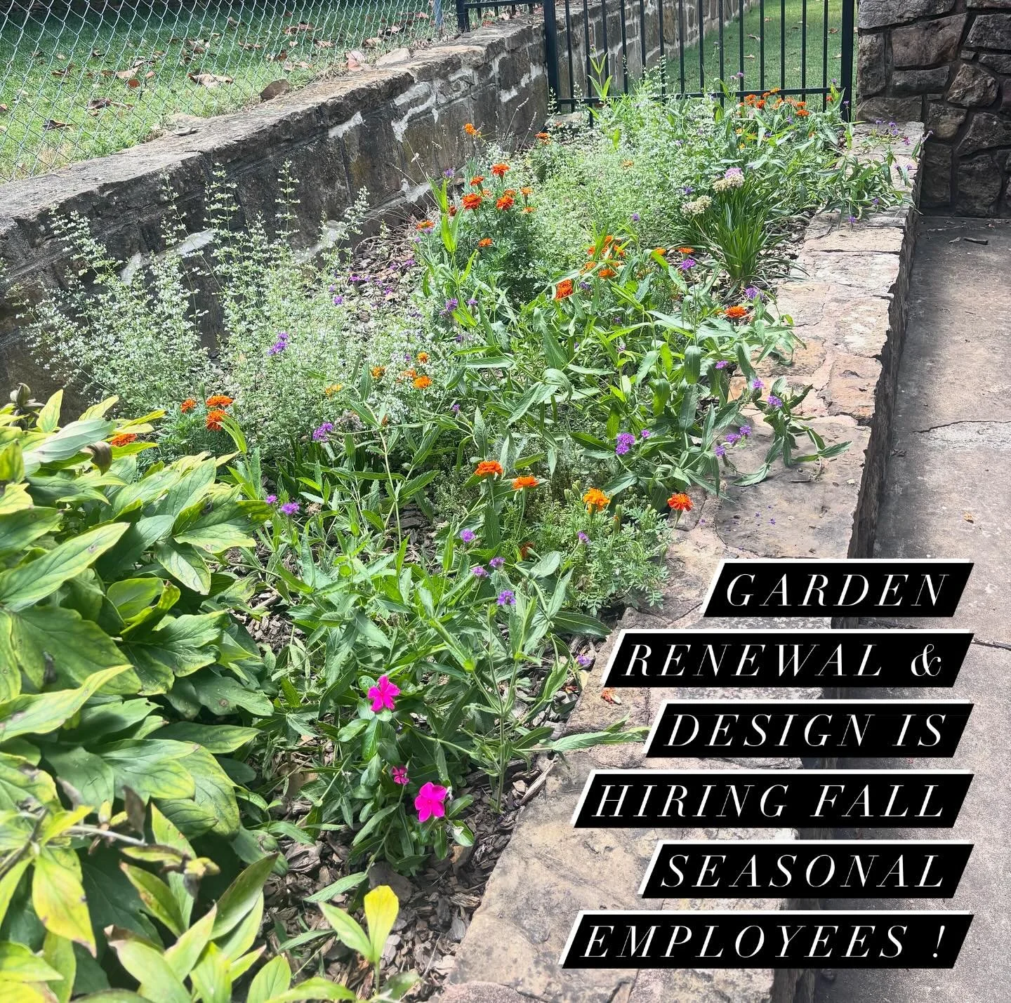 It&rsquo;s that time! Temperatures have dropped and we&rsquo;re nearing our fall planting season. If you&rsquo;re interested in landscaping, hardscaping, planting projects, and more please email your resume to cnewelldesign@gmail.com 

#plants #autum