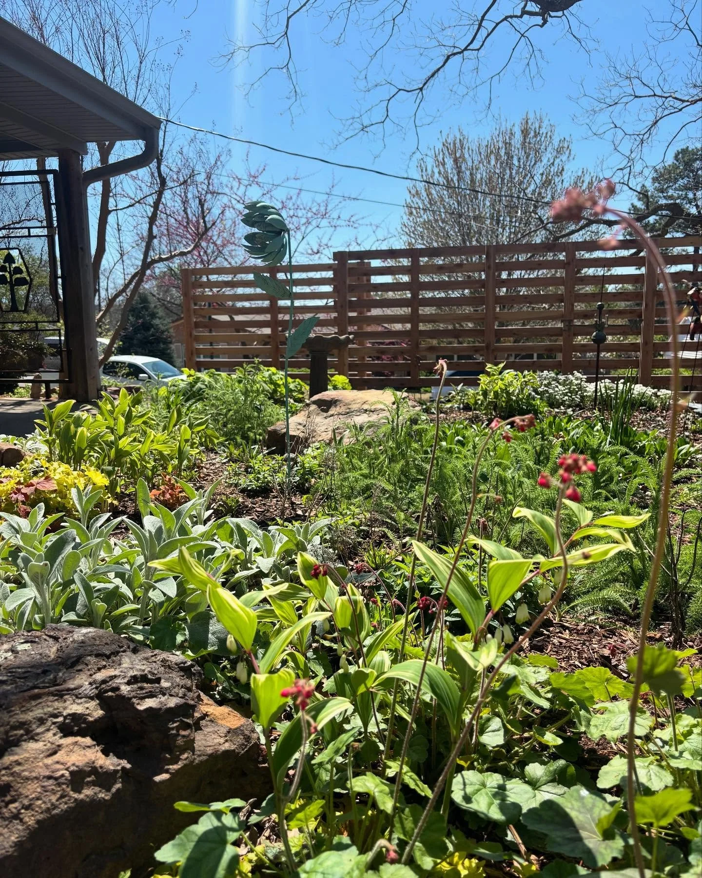 Thank you rain!! One of our first fall installations is in full Spring mode! Can&rsquo;t wait to see the Bee Balm, Goldenrod, Yarrow and native Coral Bells take off! 🌱 Also huge props to @rlrestoration for the beautiful privacy fence install in the 