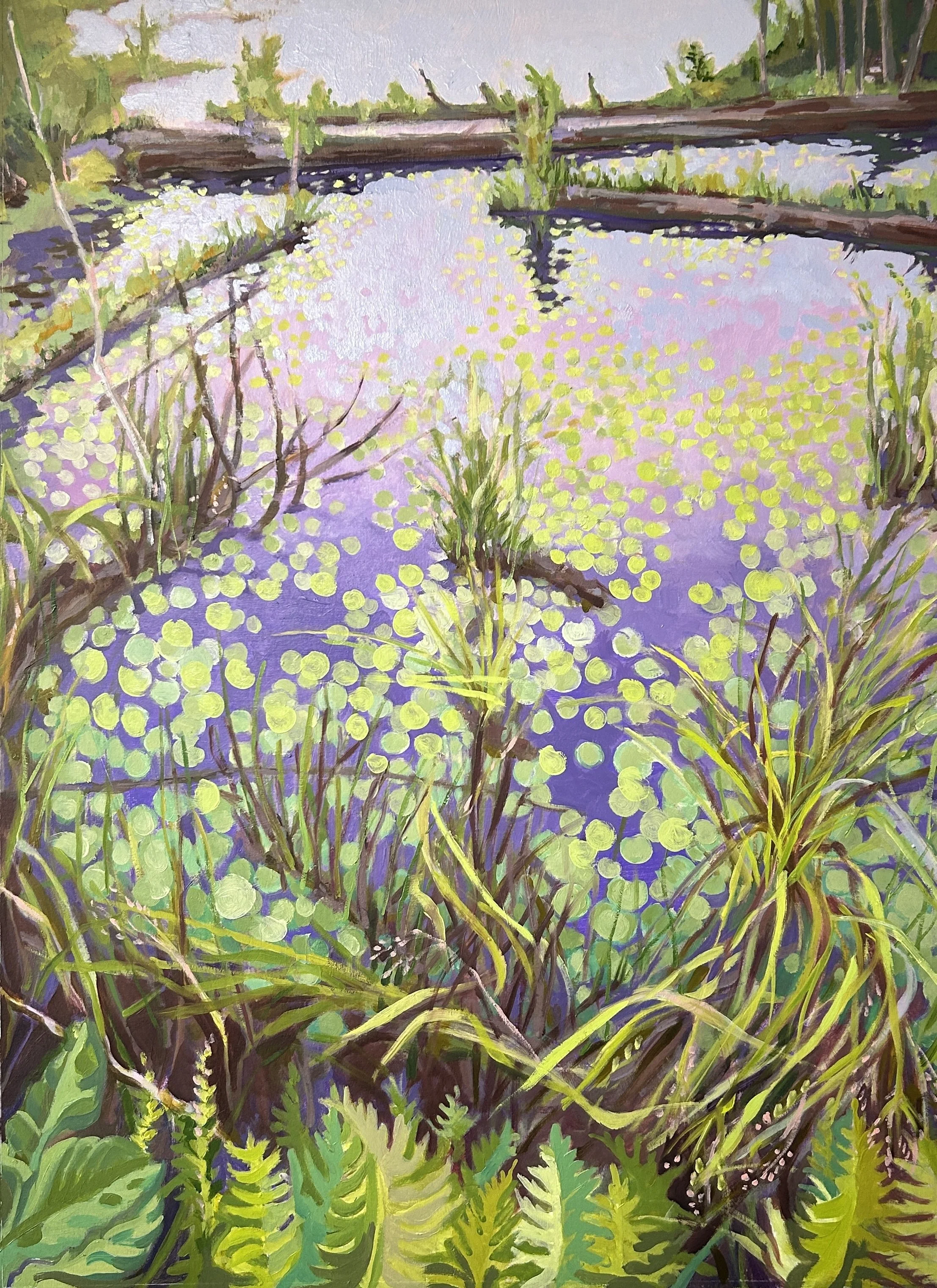 star marsh