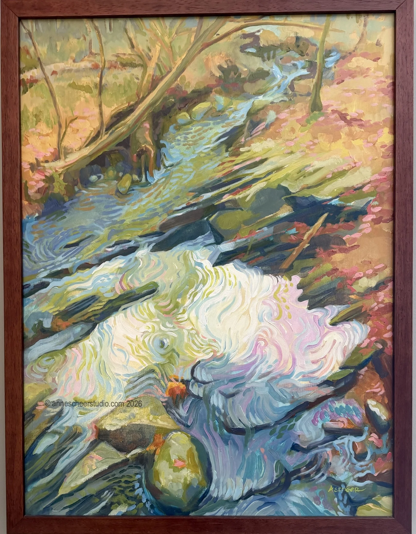 piscataqua feeder rapids