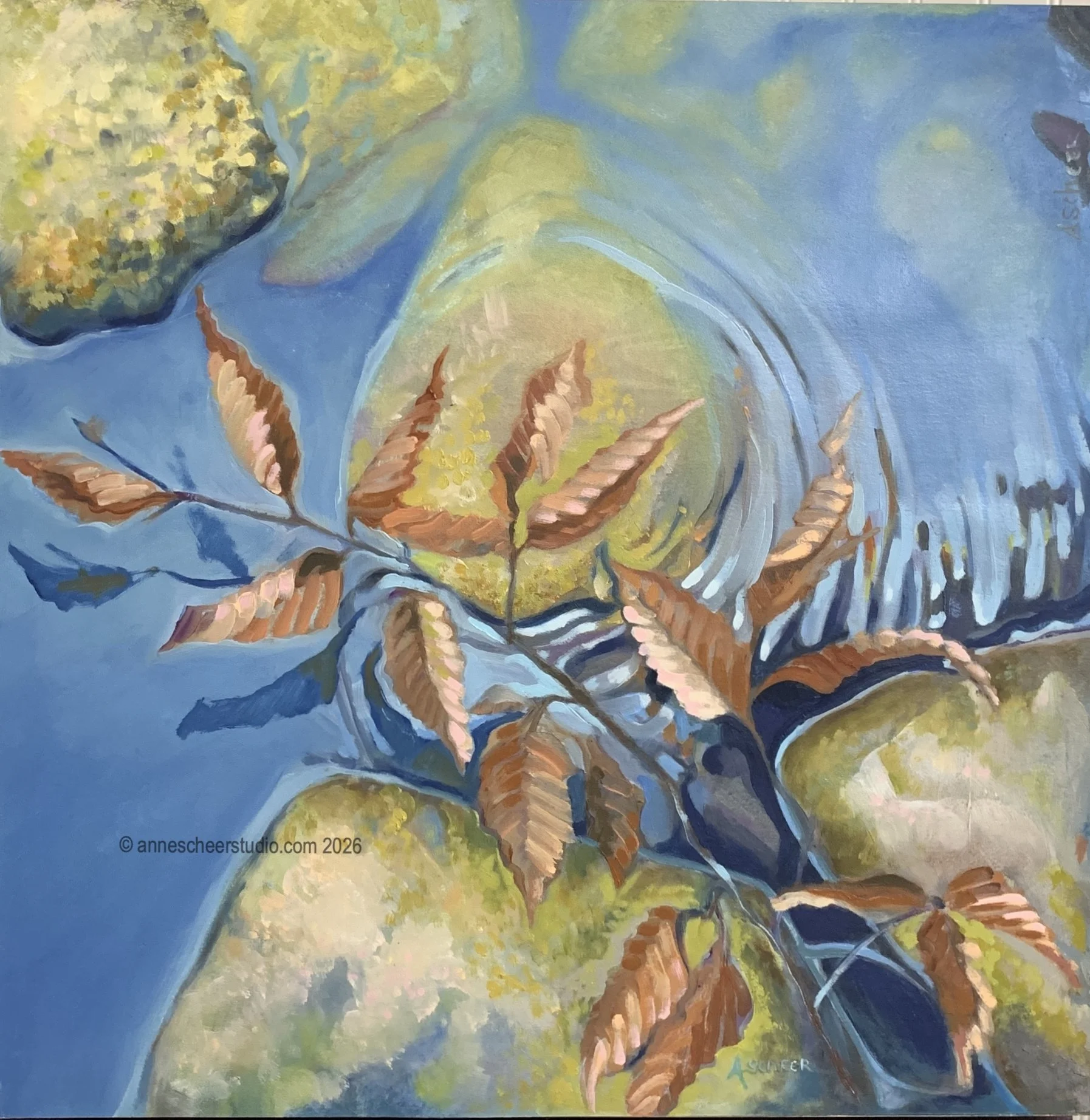reflections of dried beech leaves in water