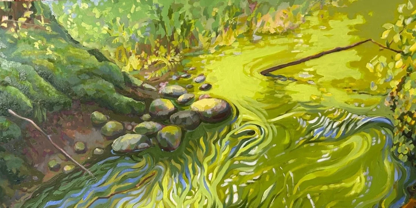 this chartreuse brook flows through a Maine spring day.