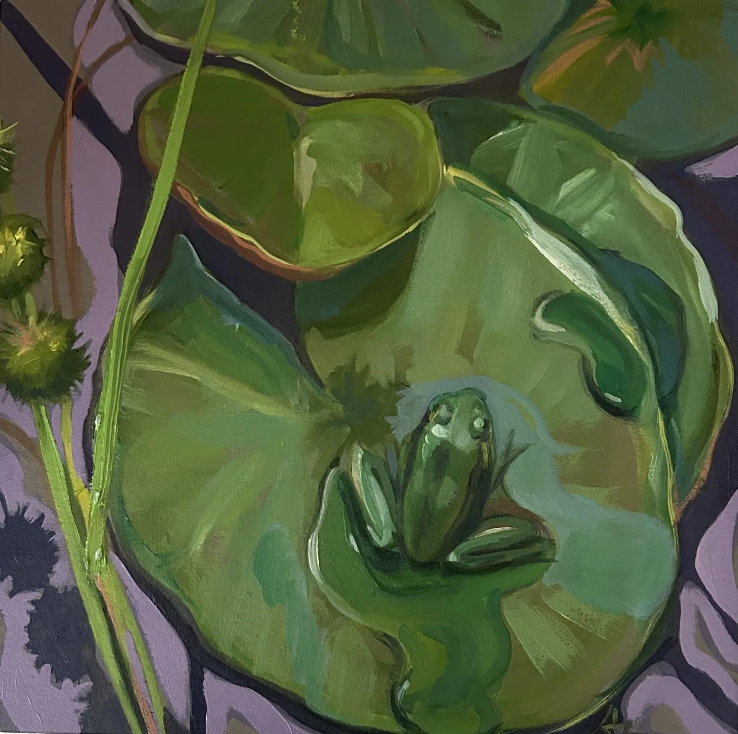 hockey pond frog