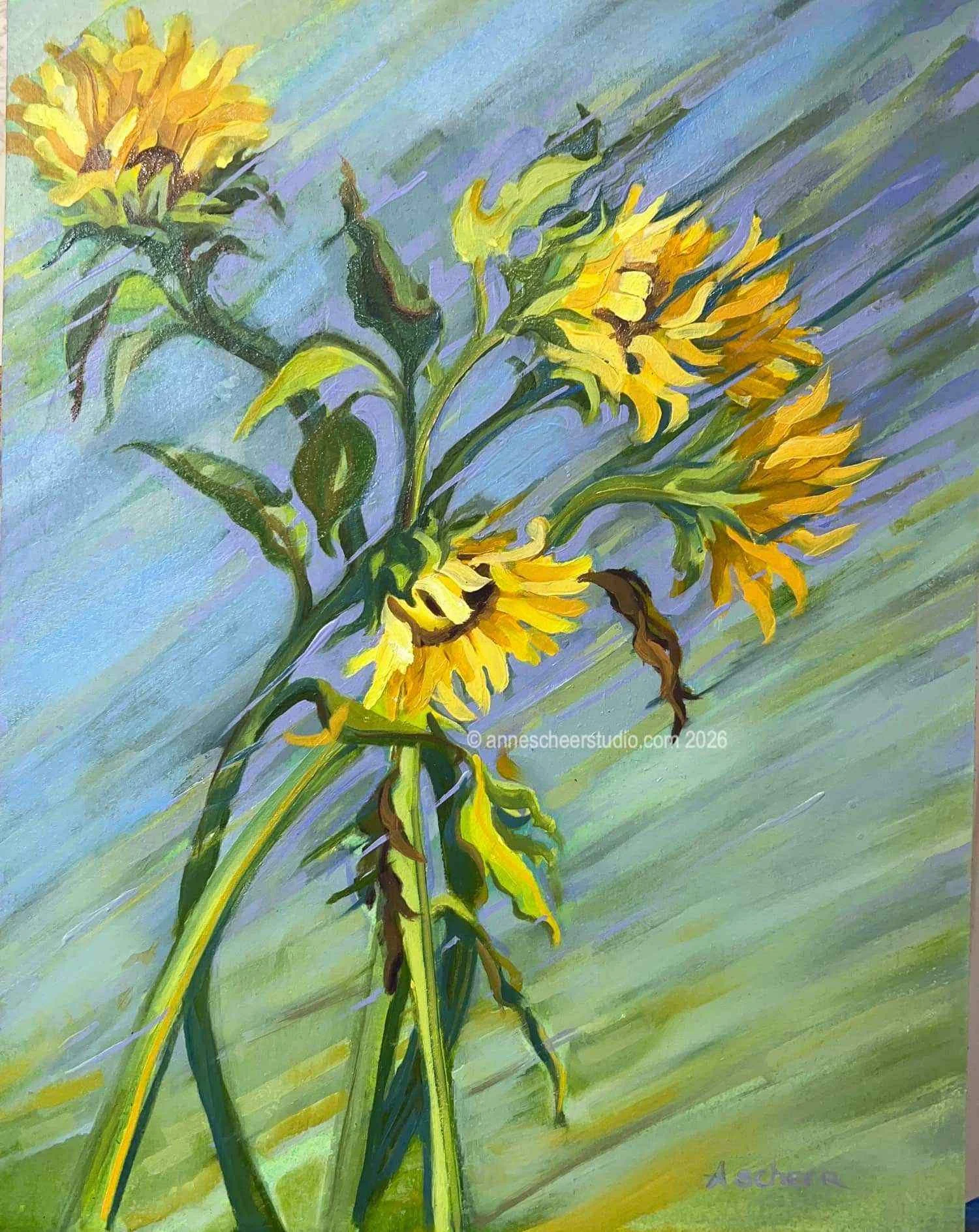 sunshower©.jpg