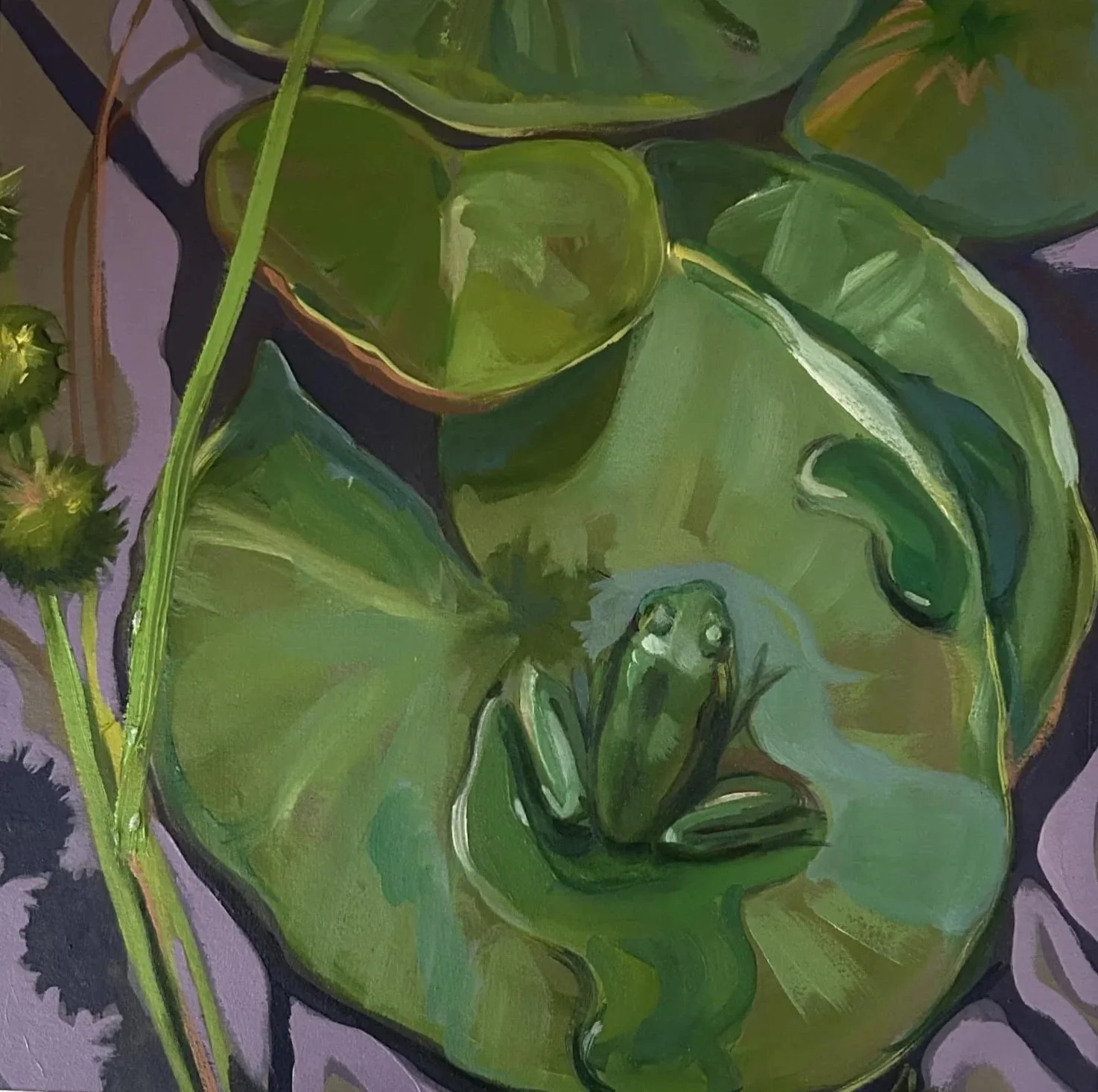 A solitary frog sat at my feet on a lily pad as I painted him.