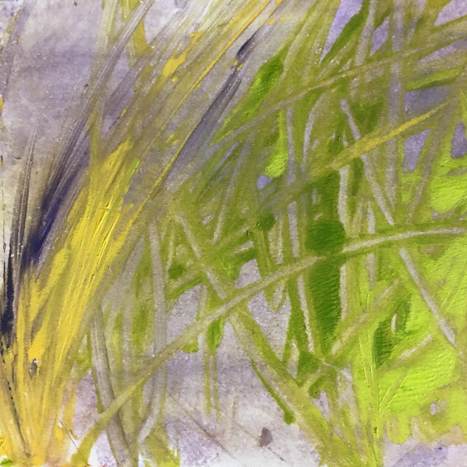 The local colors of Maine's spring show in this painted background image.