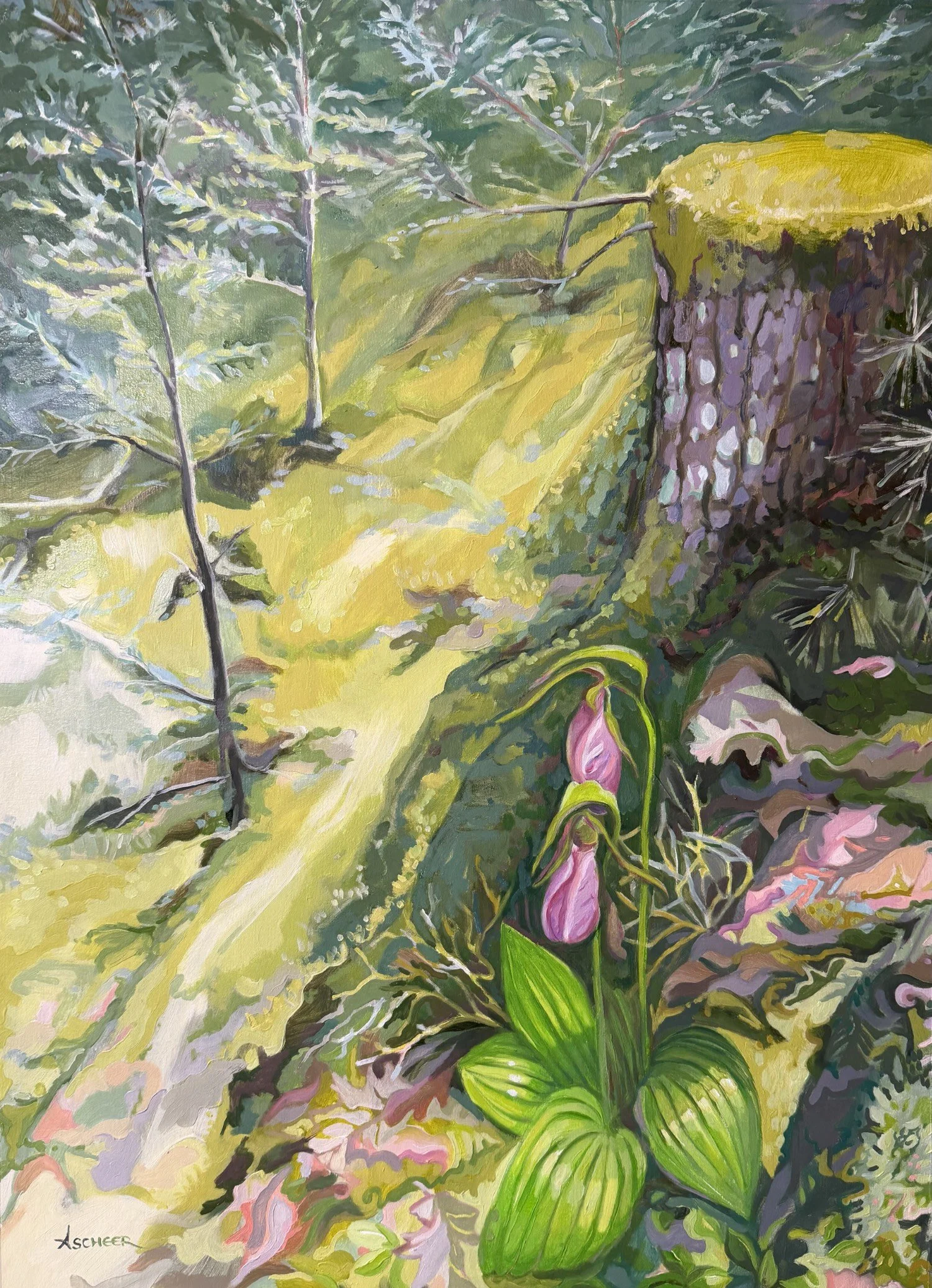 two lady slippers in woodland scene