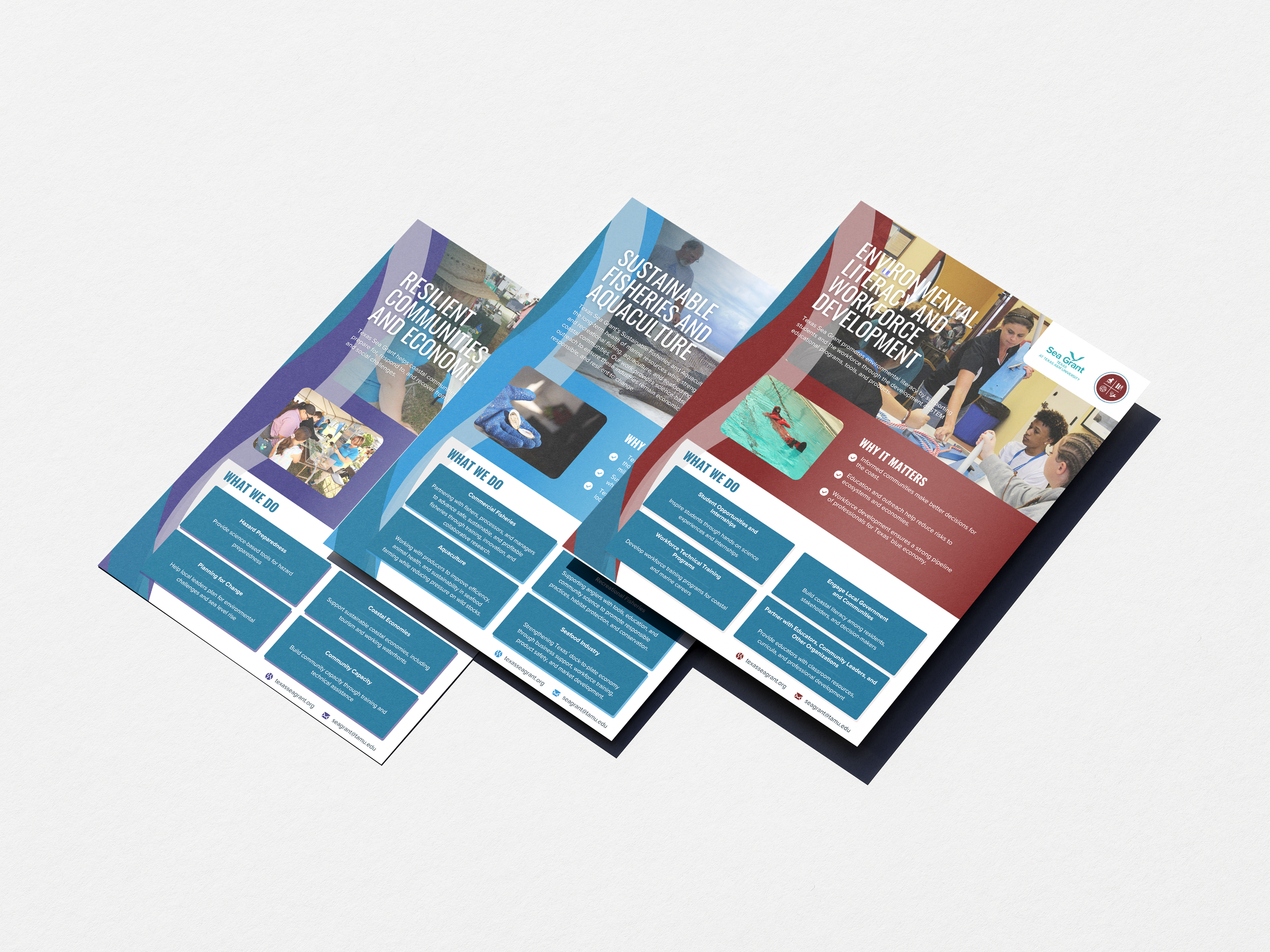 Focus Area Flyers Mockup 2.png