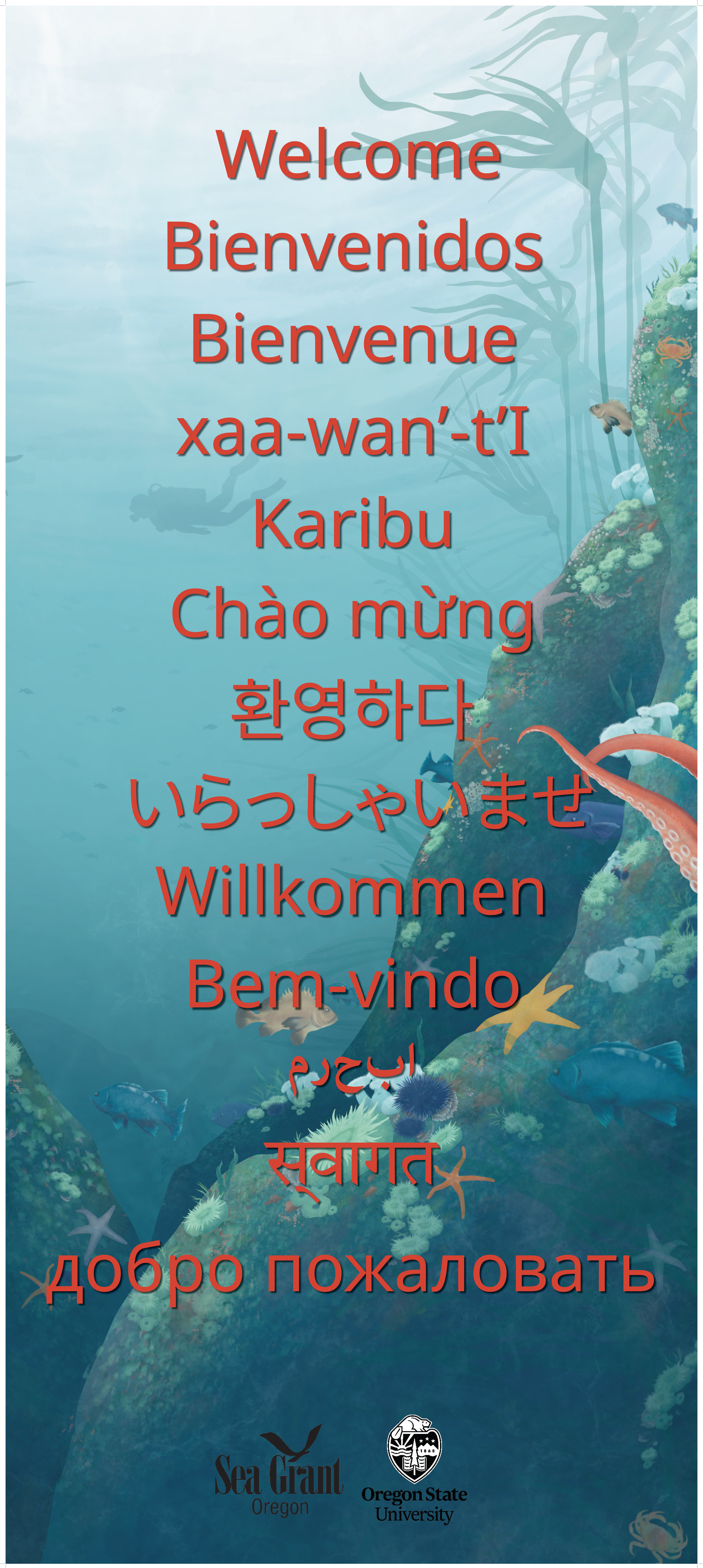 HMSC Welcome Banner.png