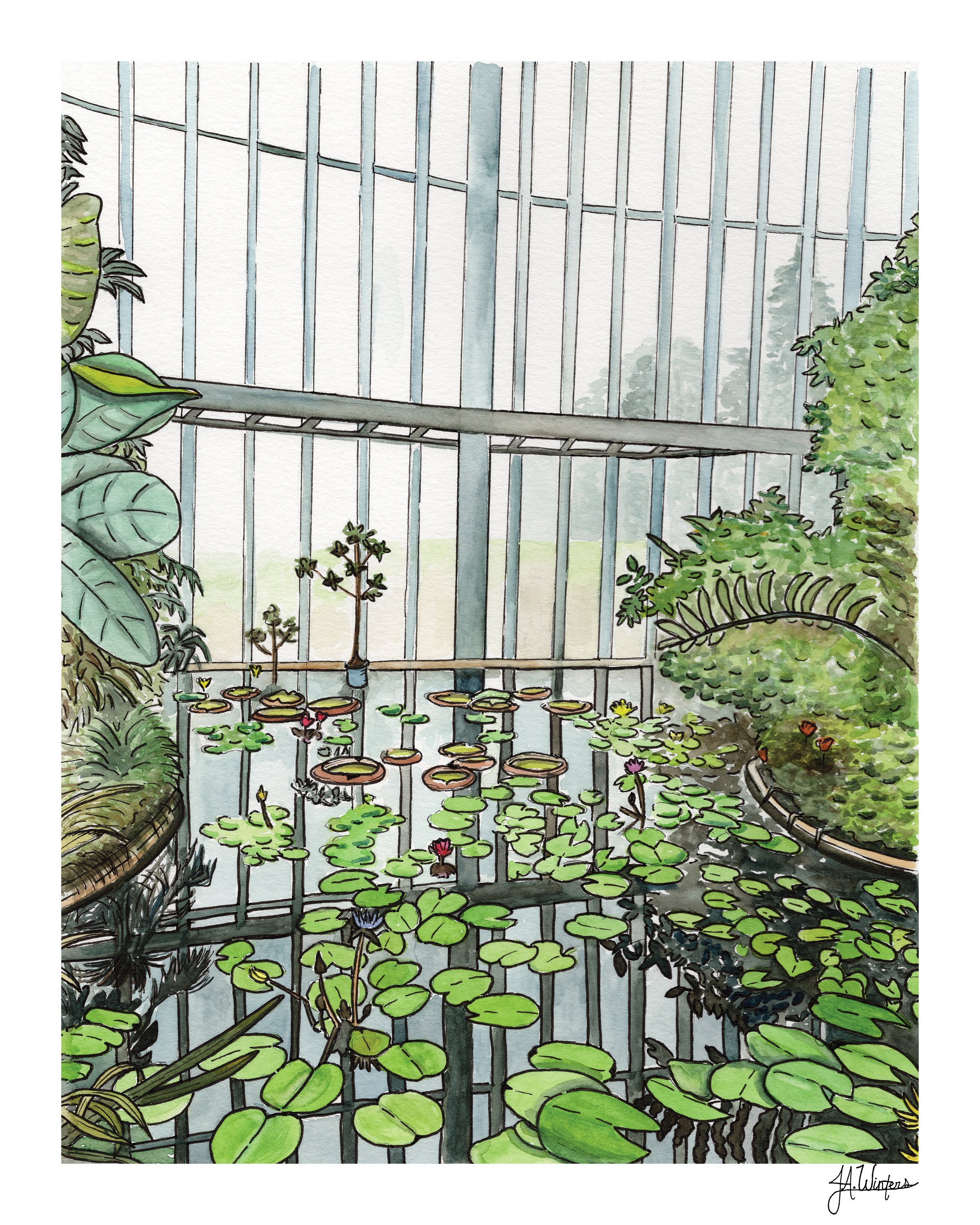 JenniferWinters_GreenhouseWindow_8x10_5qty.jpg