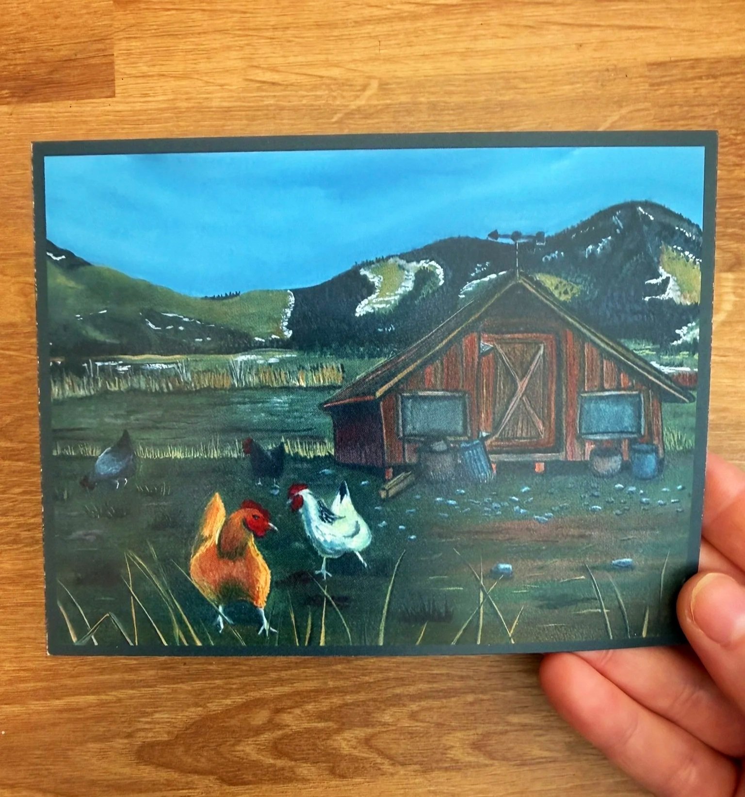High Country Hens Postcard
