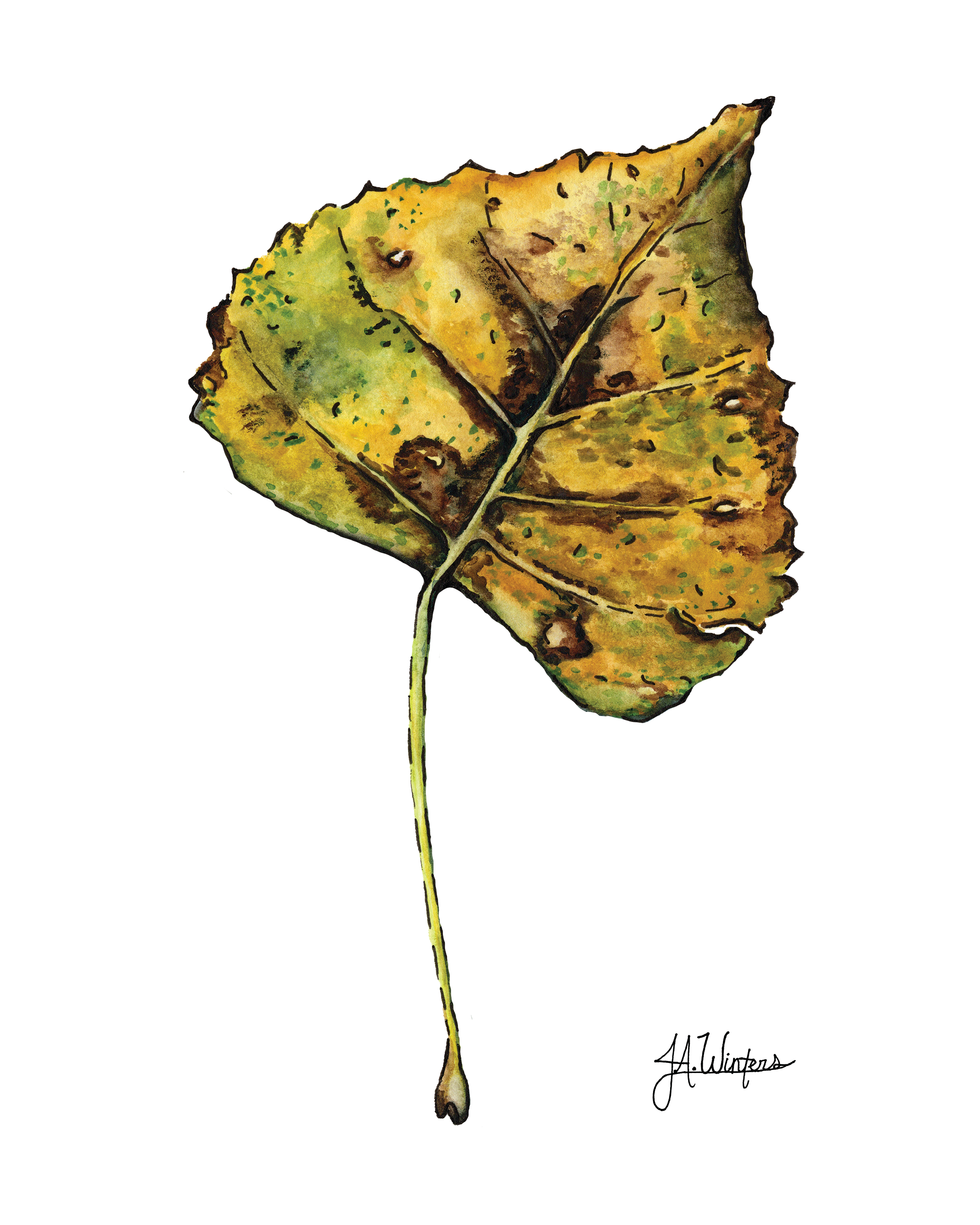 Yellow Leaf 600DPI CMYK.png
