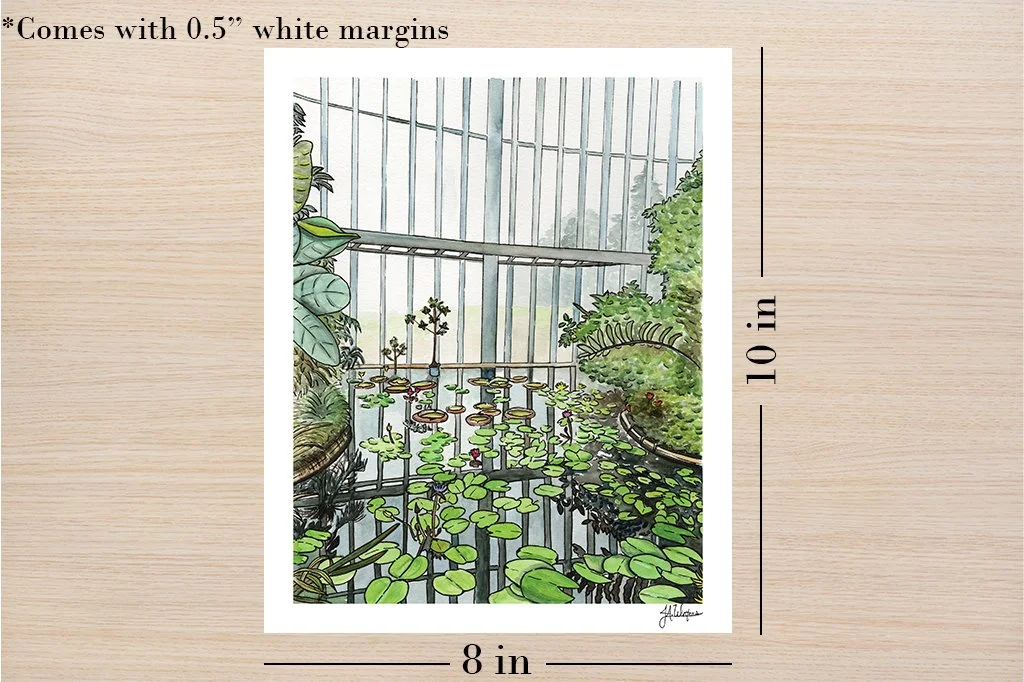 Greenhouse Window Showing 8x10 Sizing copy.jpg