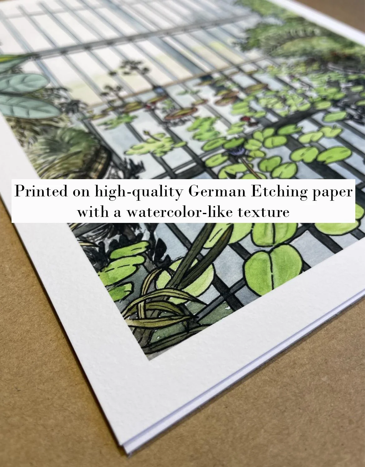 Paper Texture.jpg