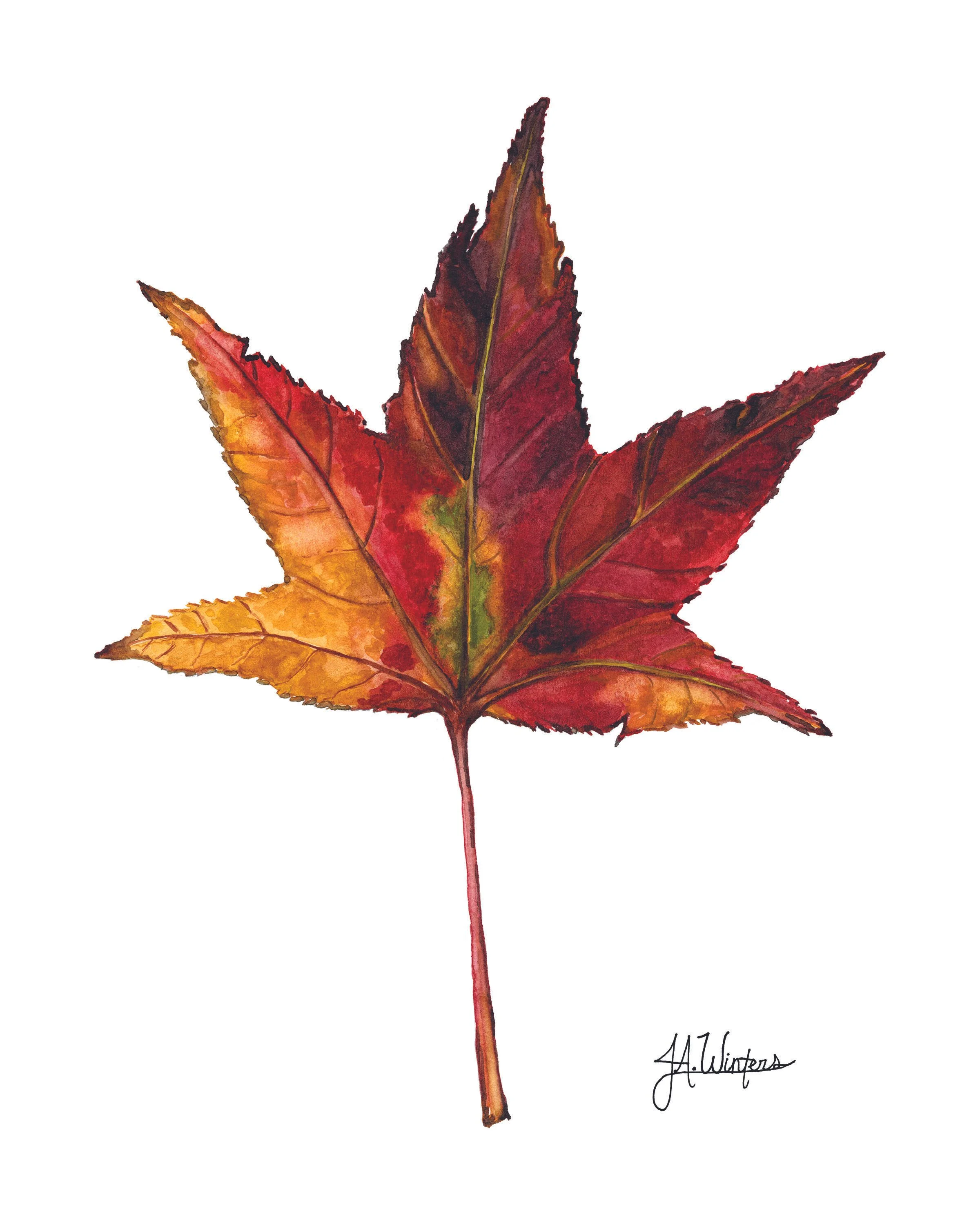 Red Lead 8x10 CMYK UPDATED 12.18 600DPI with Signature.jpg