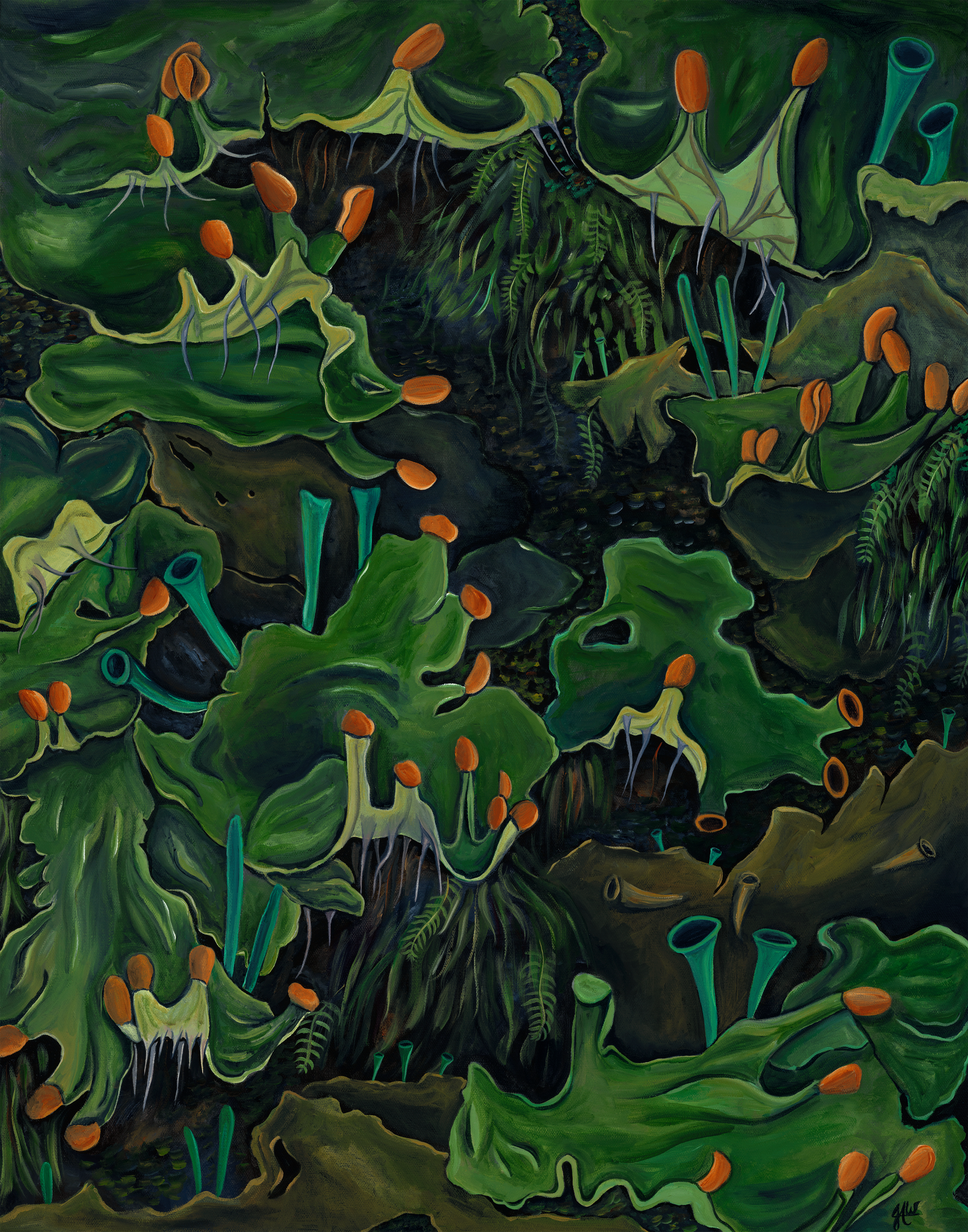 Frog-Pelt-Lichen-Tif-Edited-11x14-Sizing-REDUCED.png