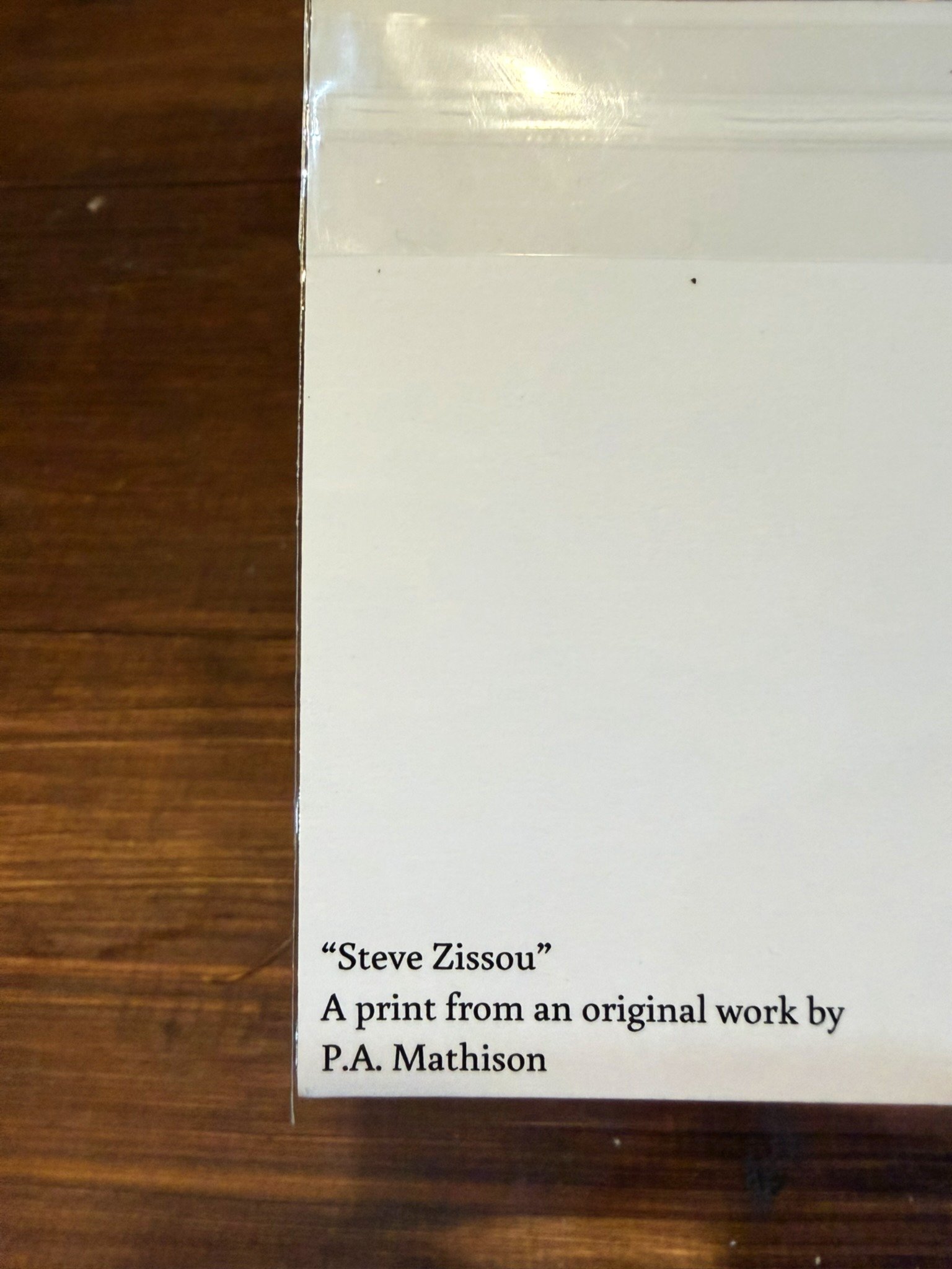 Steve Zissou Back.JPG