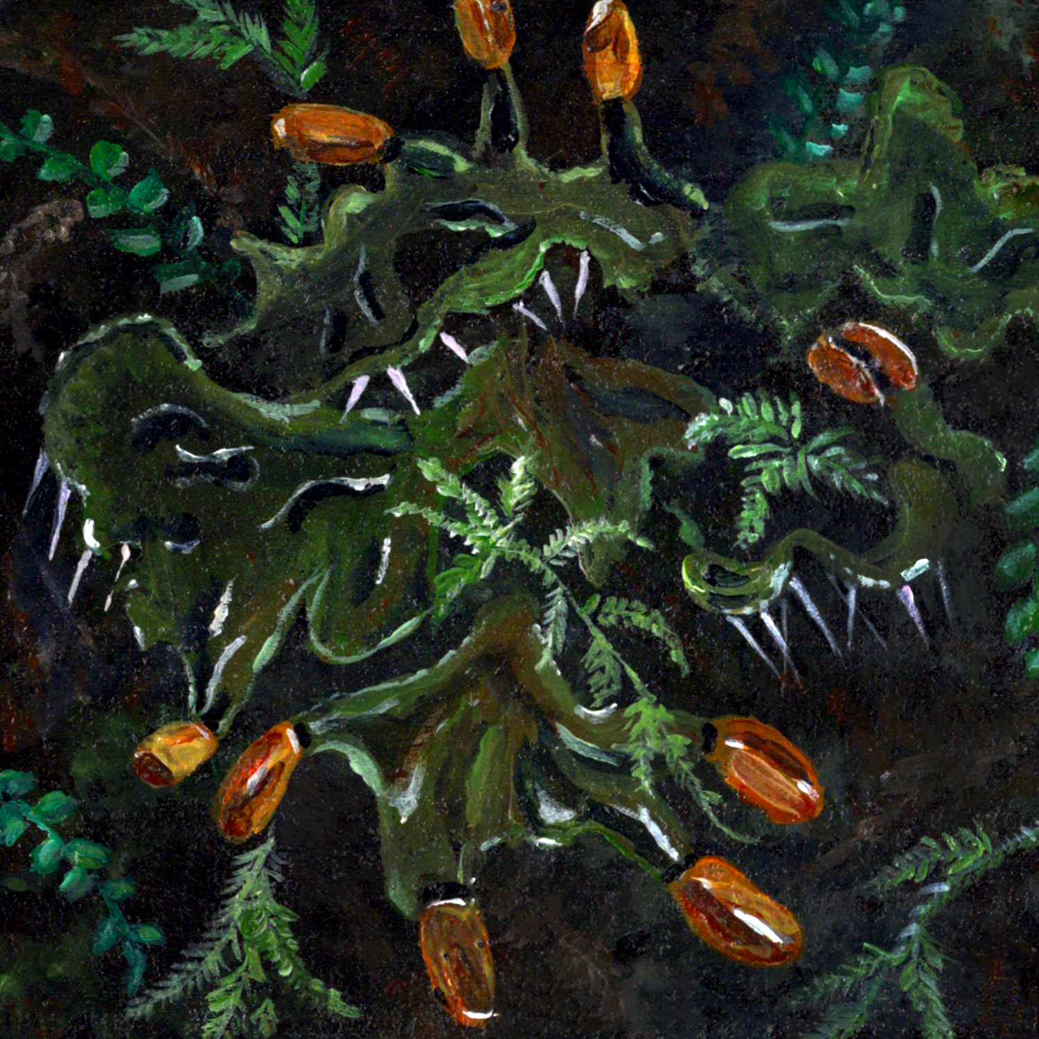 Coaster Orange Lichen.png