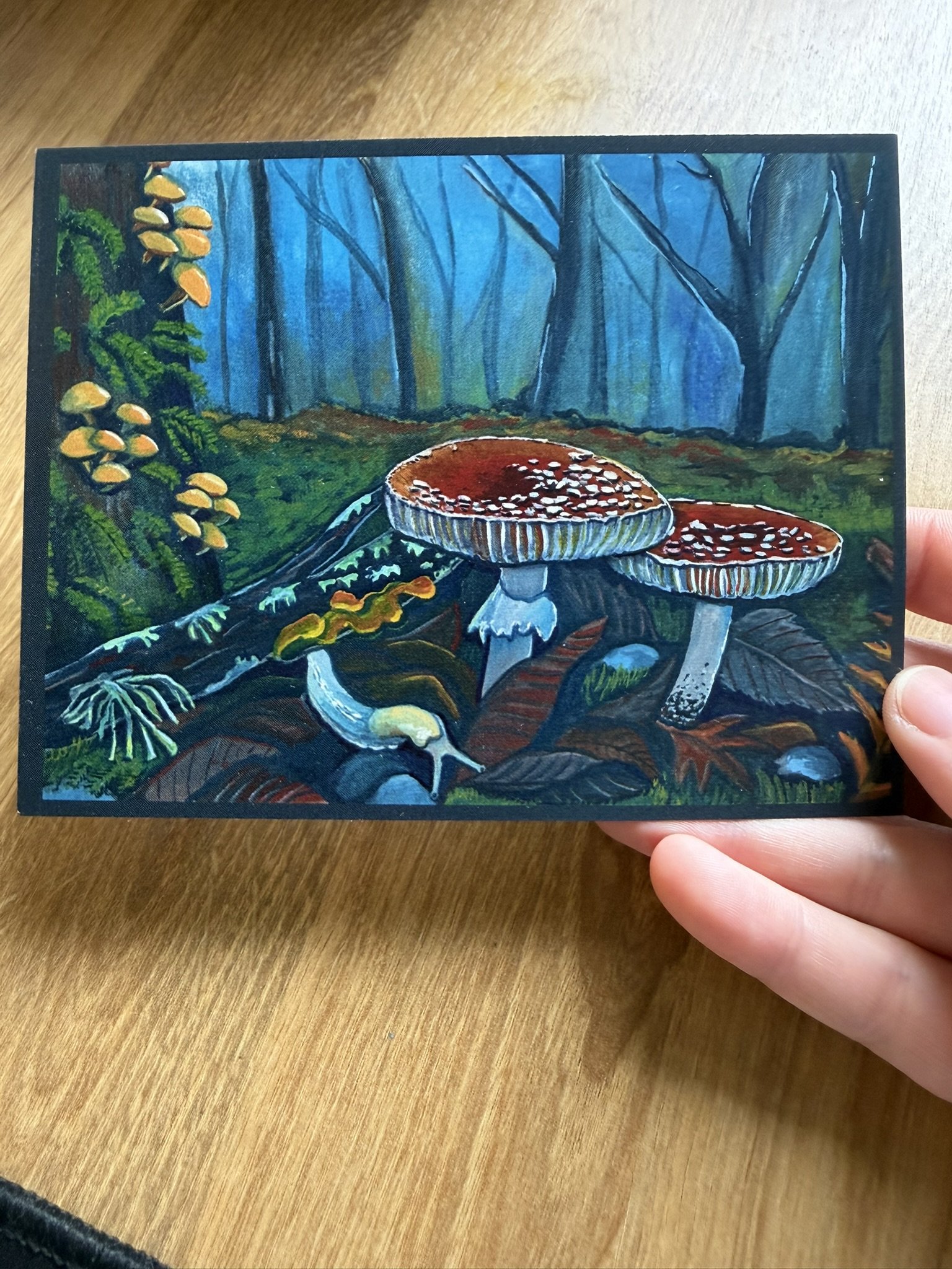 Enchanted Forest Floor Mushroom Postcard