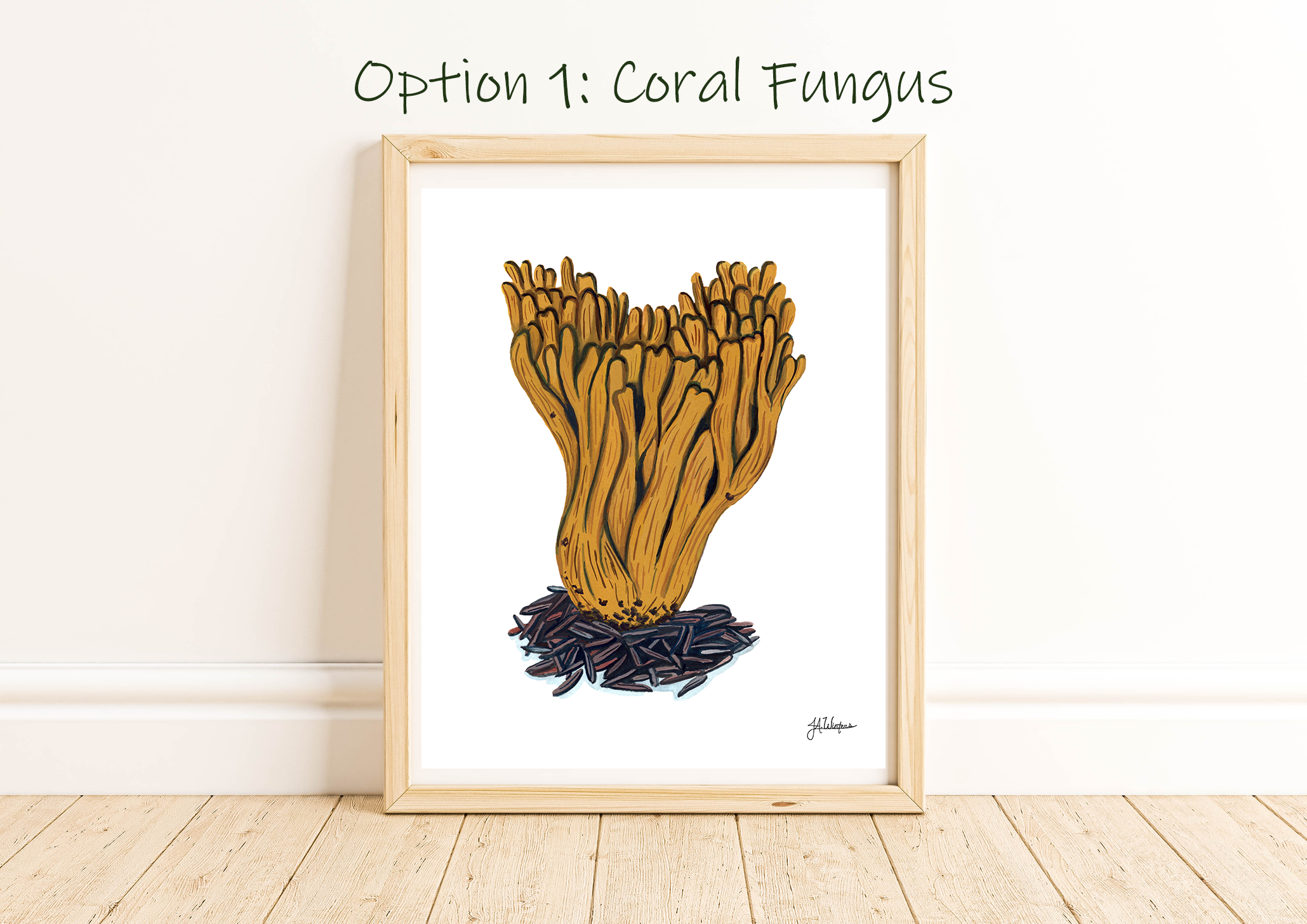 Coral Fungus Mockup.png