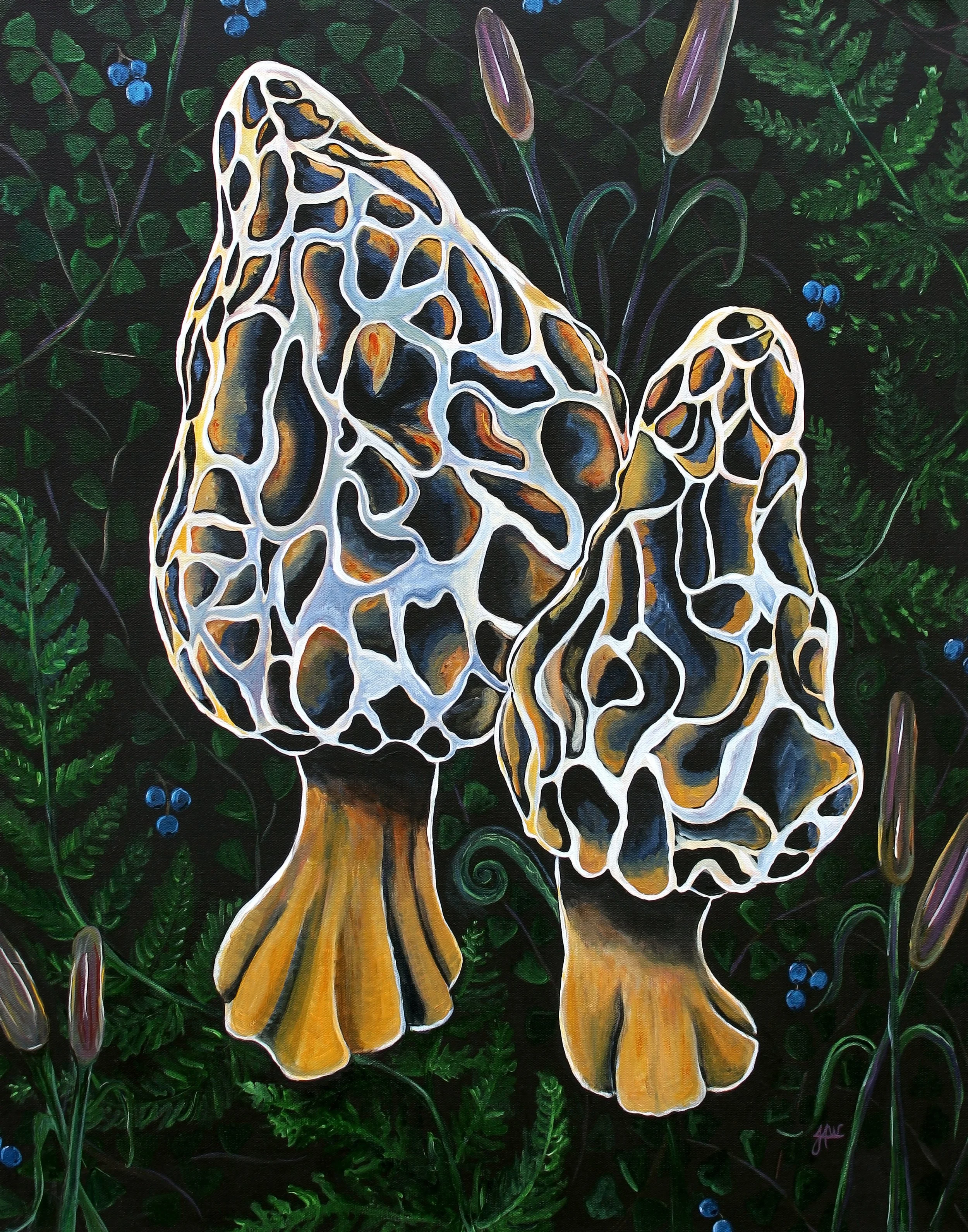 JenniferWinters_Morels_11x14_3qty.jpg