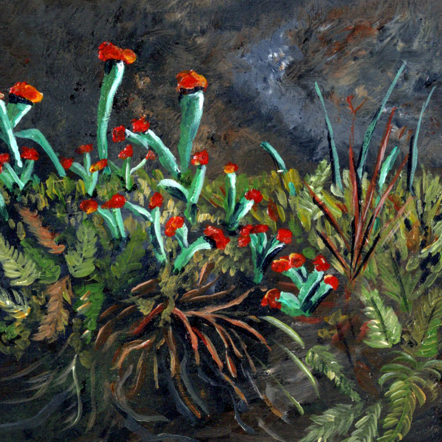 Coaster Red Lichen.png