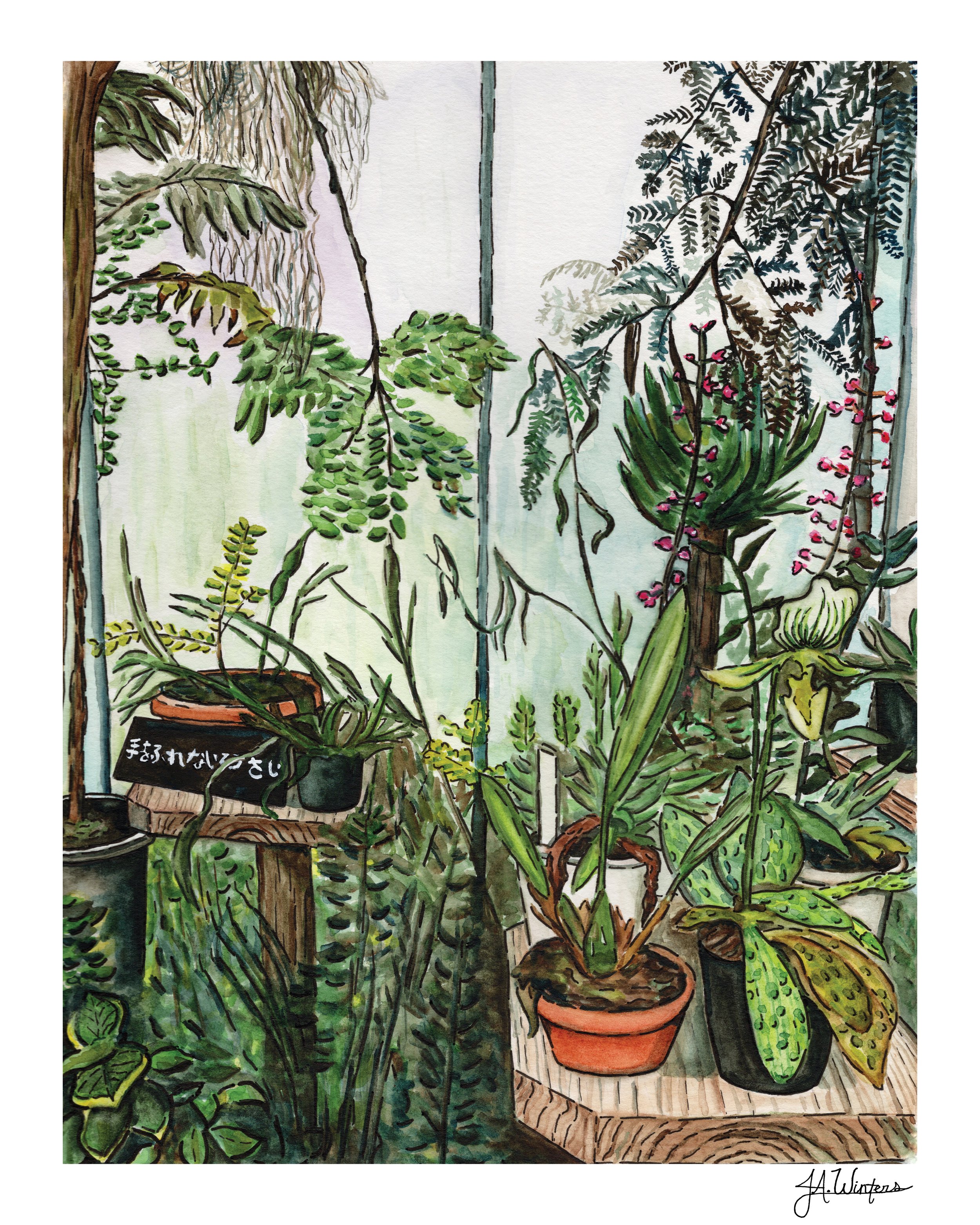JenniferWinters_ShinjukuGreenhouse_8x10_5qty.jpg