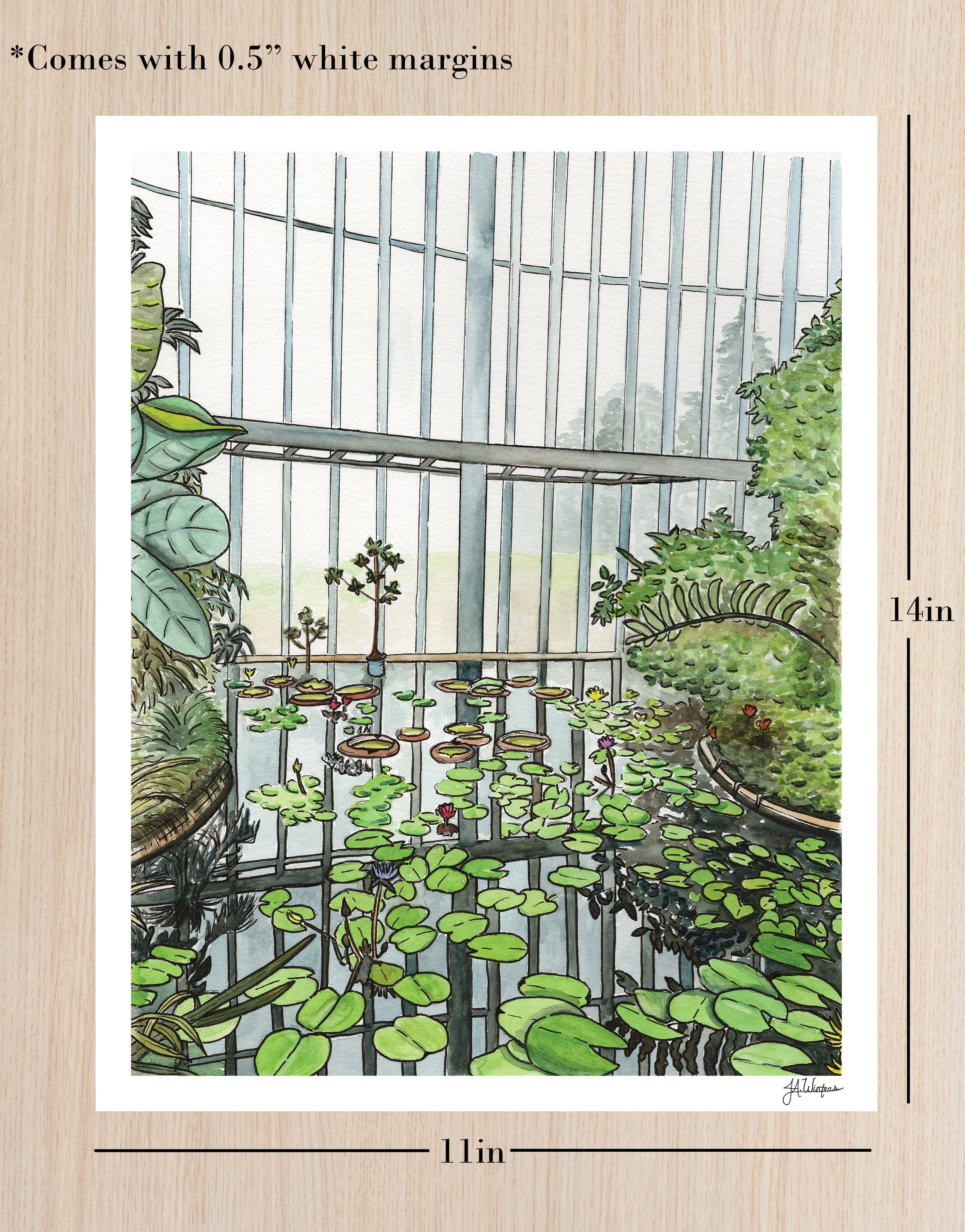 Greenhouse Window Showing 11x14 Sizing copy.jpg