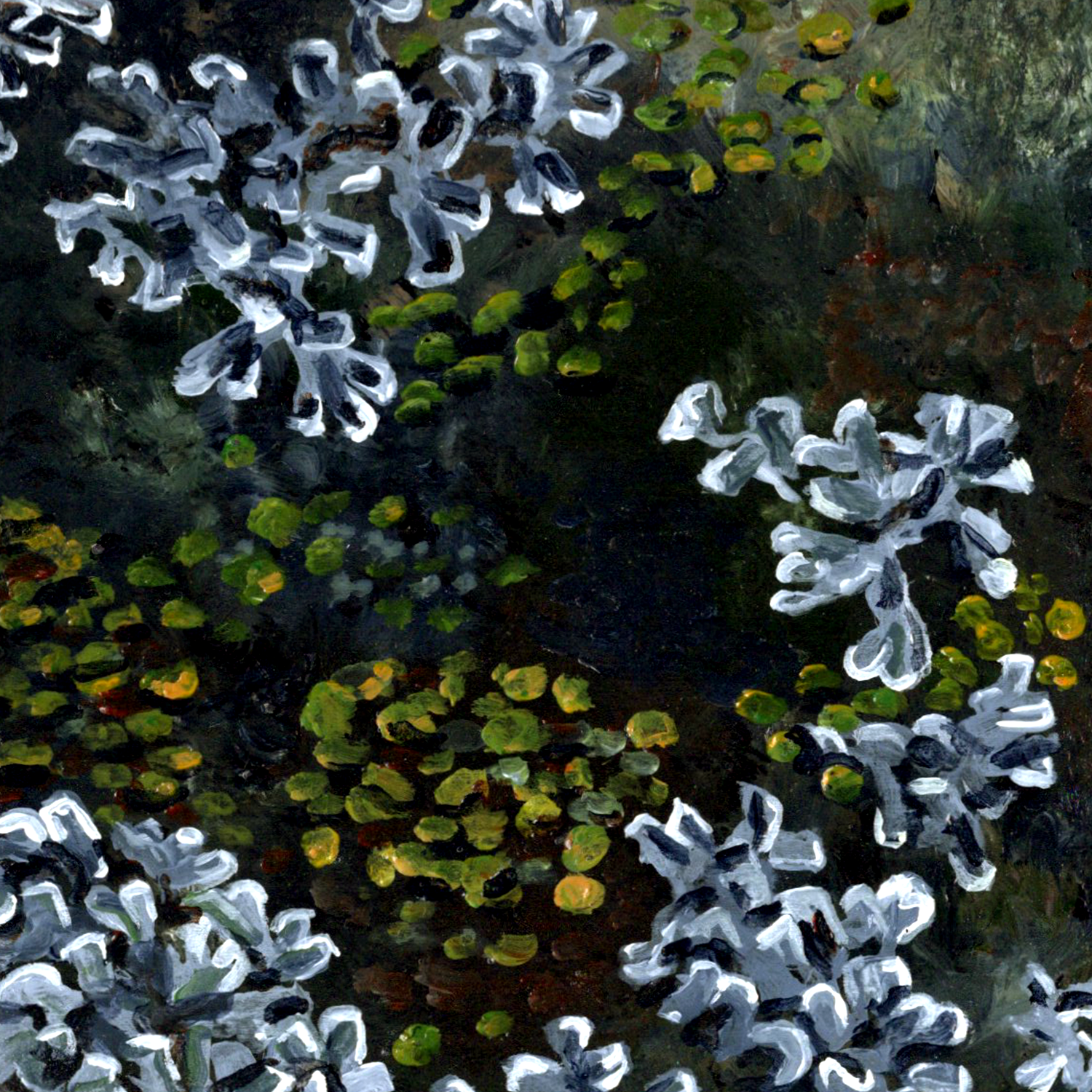Coaster Yellow Lichen.png