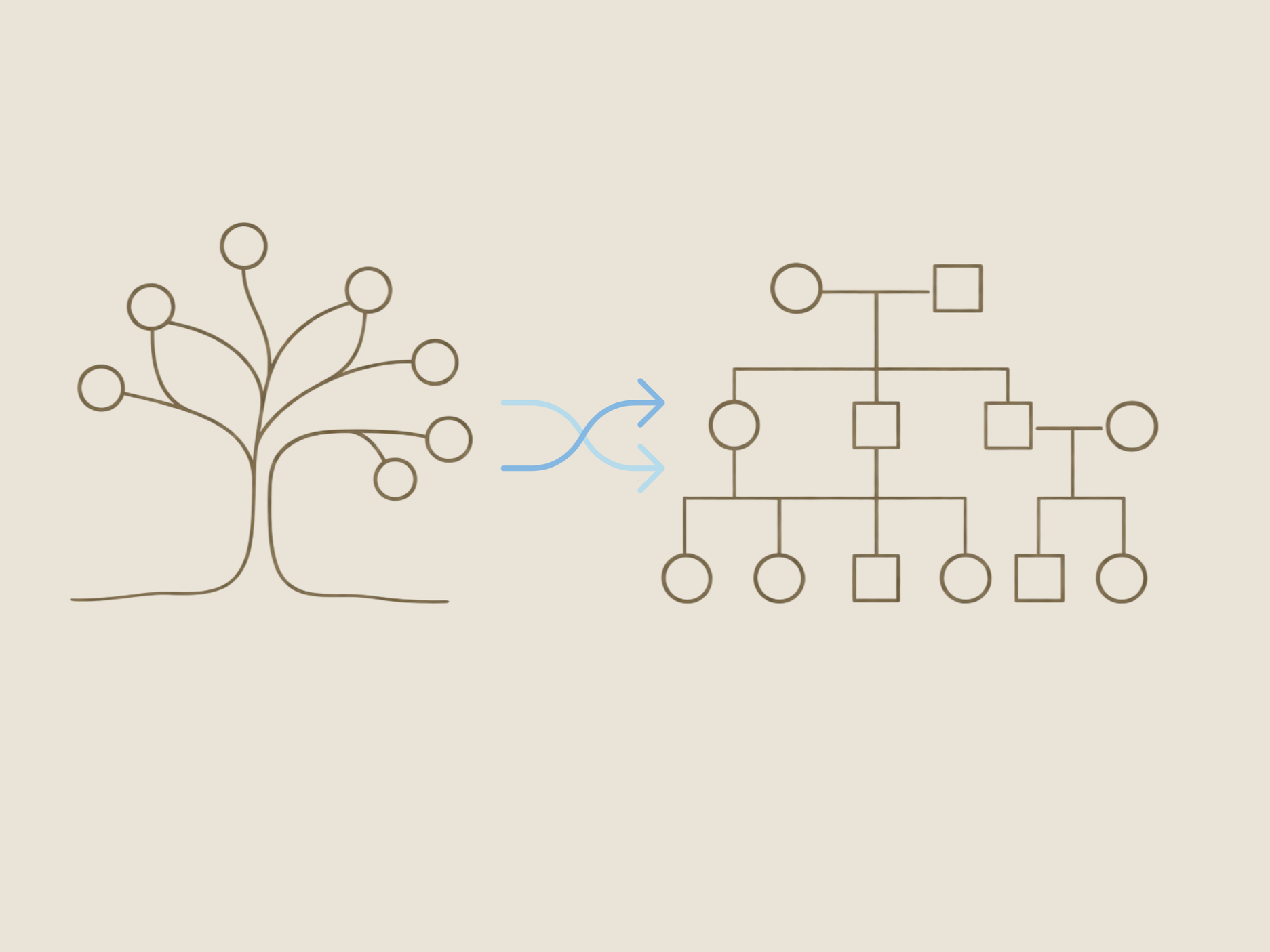 A diagram showing a simple tree on the left transitioning into a flowchart on the right, with two blue arrows connecting them.