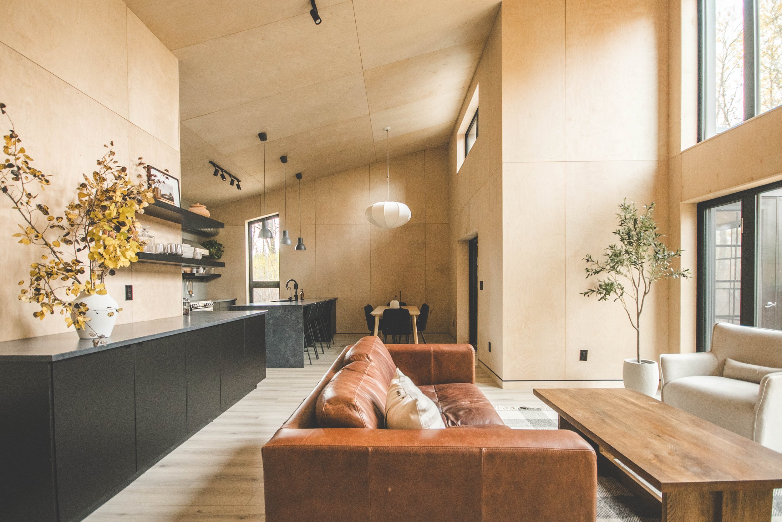Modern living room with beige walls, large windows, leather sofa, wooden coffee table, and a potted plant.