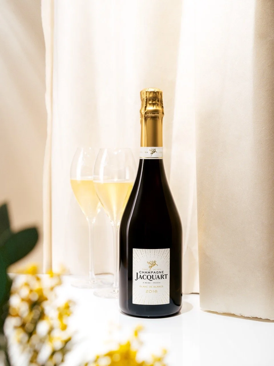 DSC_1503 - Grande.jpeg