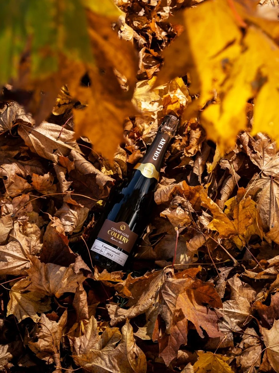 DSC_3884 - Grande.jpeg