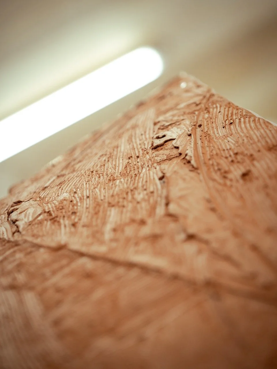 DSC_7288 - Grande.jpeg