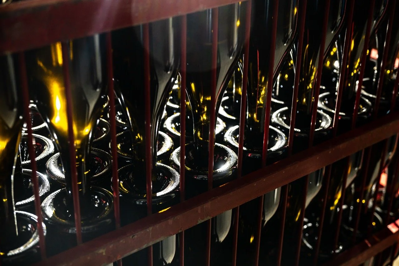 DSC_7828 - Grande.jpeg