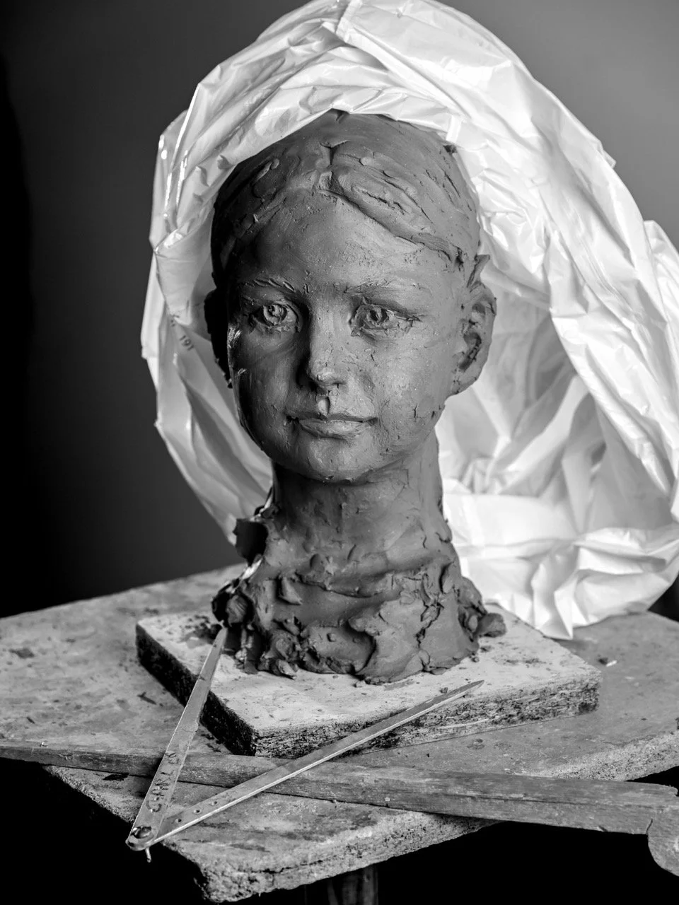 DSC_7895 - Grande.jpeg