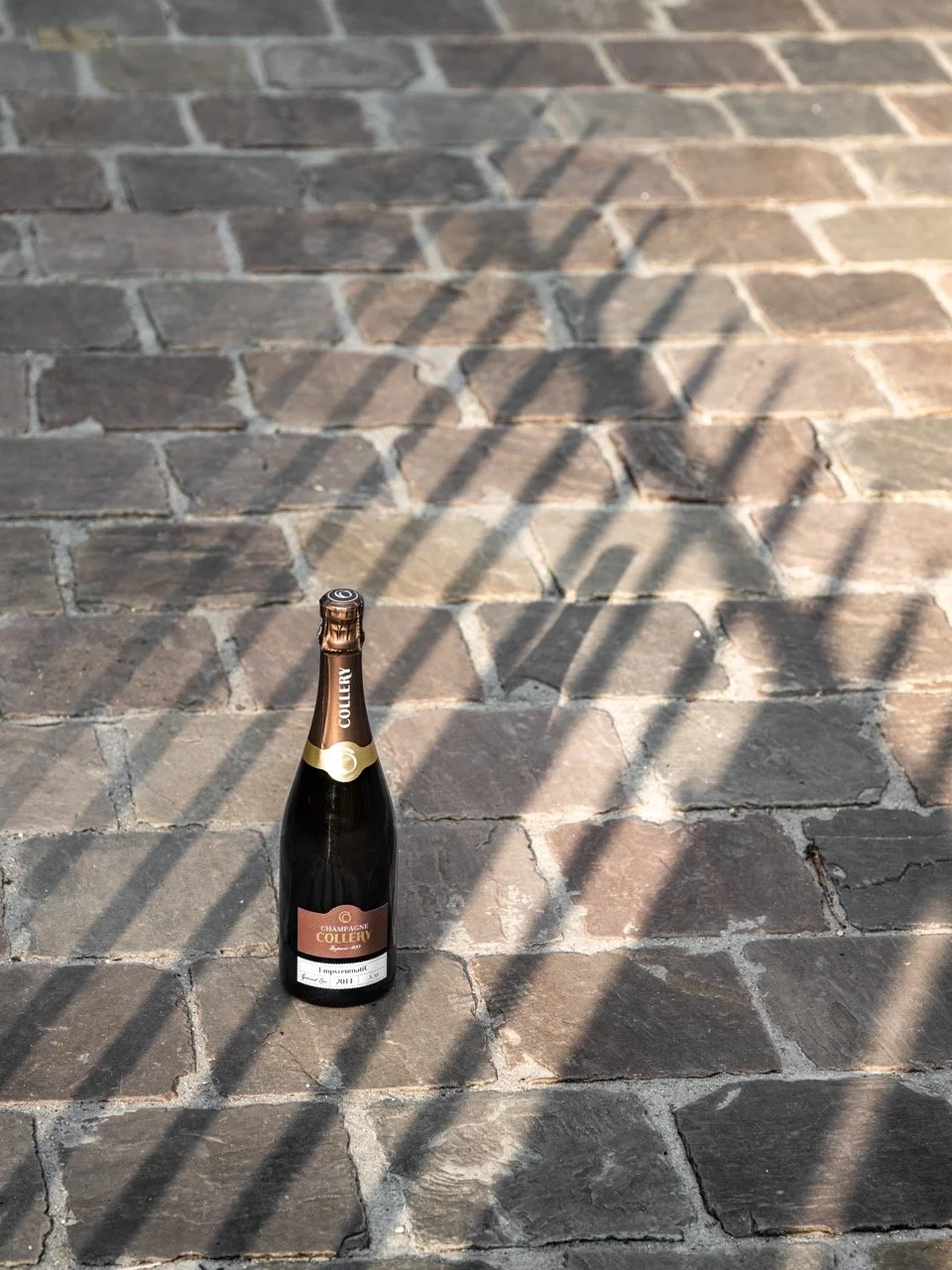 DSC_9612 - Grande.jpeg