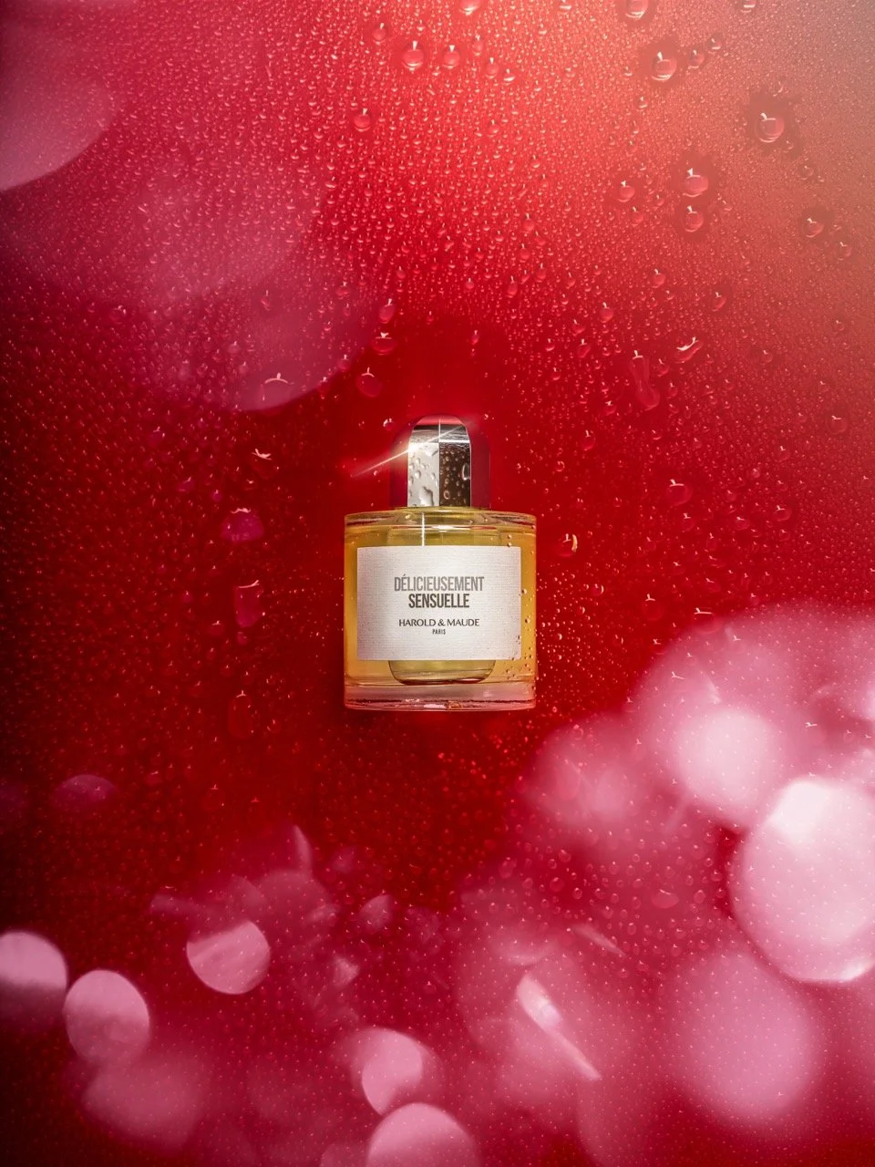 DSC_4853 - Grande.jpeg