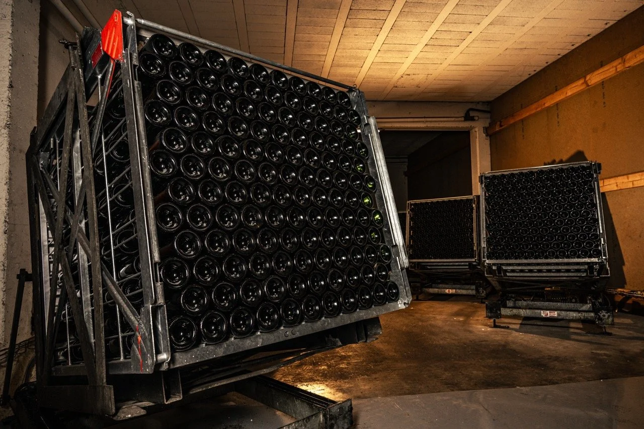 DSC_7466 - Grande.jpeg