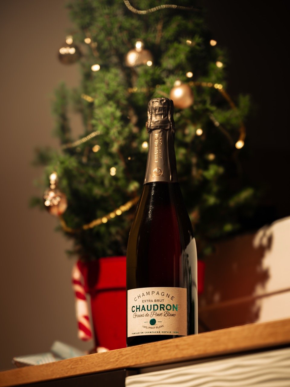 DSC_5725 - Grande.jpeg