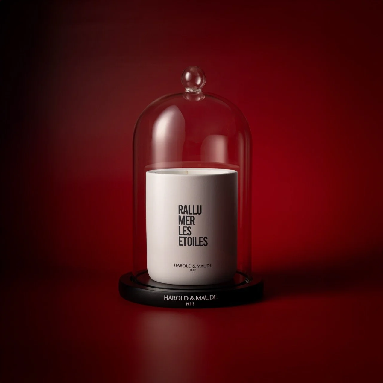 DSC_4763-Modifier - Grande.jpeg