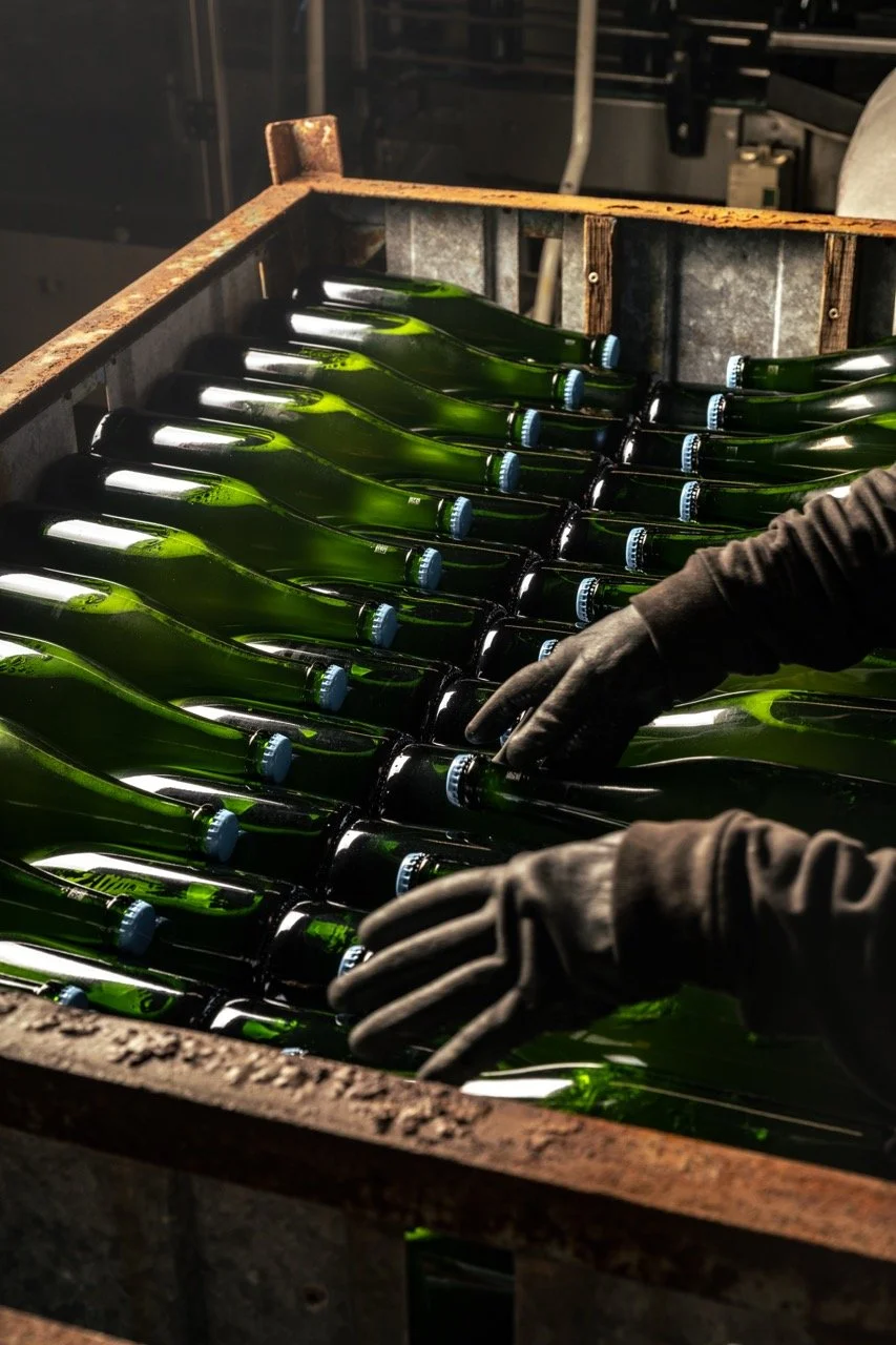 DSC_7284 - Grande.jpeg